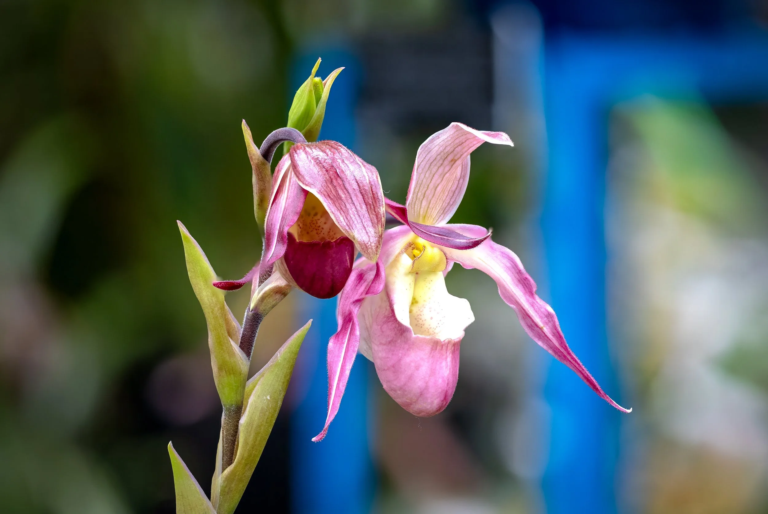 2024-01-30 15-30-35 (B,R27,S6)-2.jpg