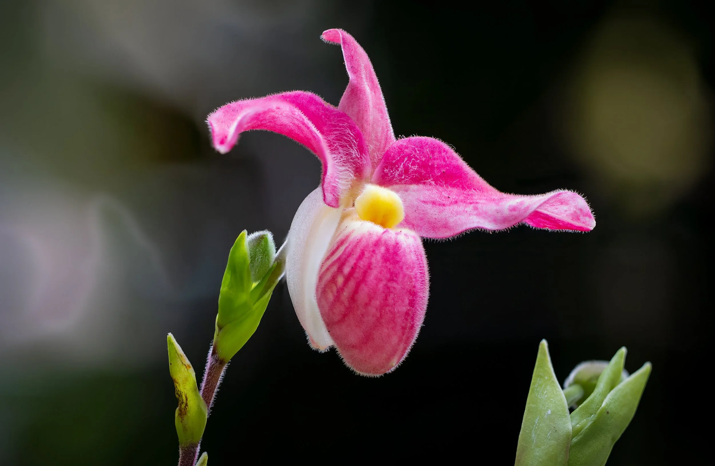 2024-01-30 15-27-41 (B,R27,S6)-2.jpg