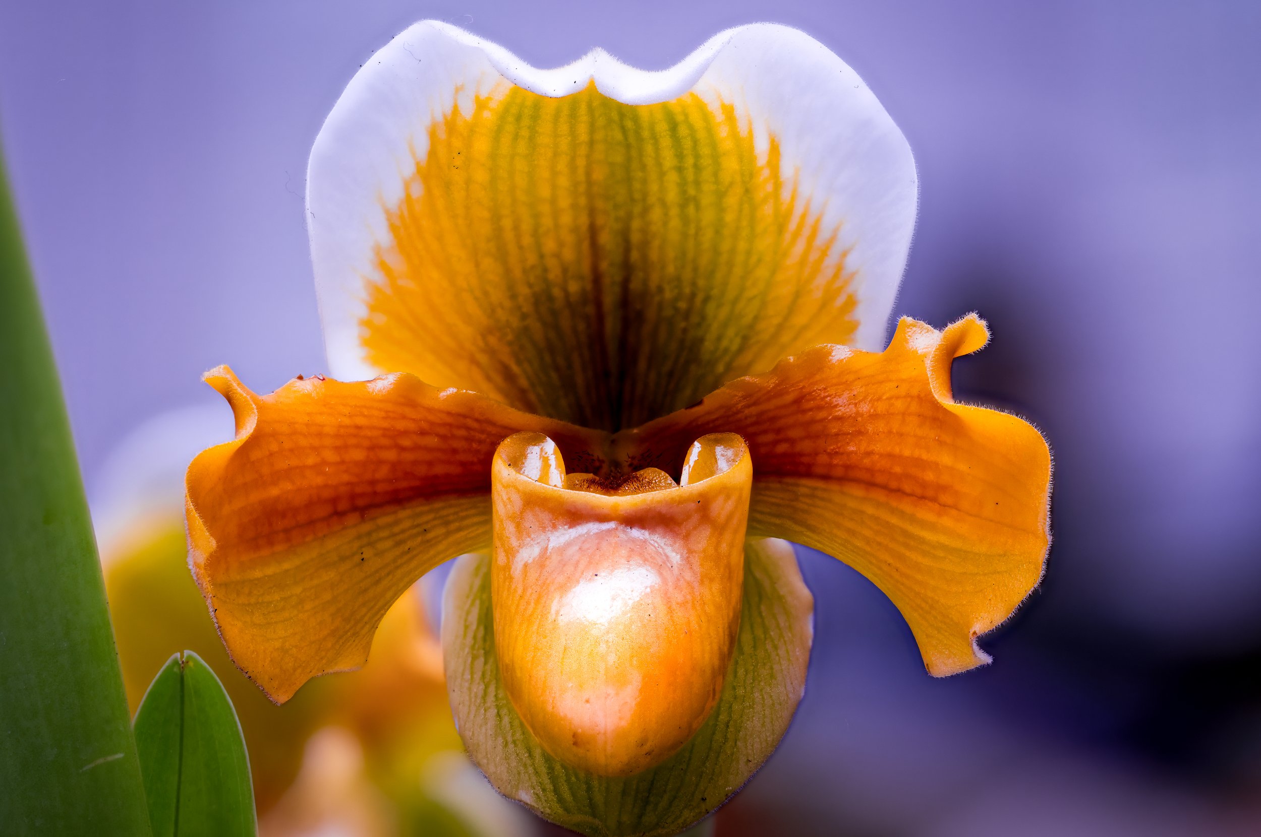 2024-01-28 10-53-18 (C,S6)-2-2.jpg