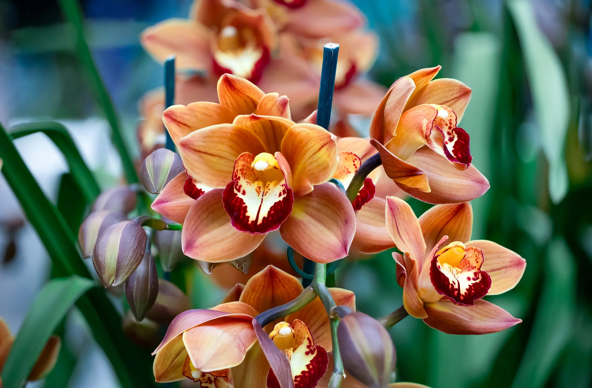 2024-01-30 14-34-45 (B,R27,S6)-2.jpg