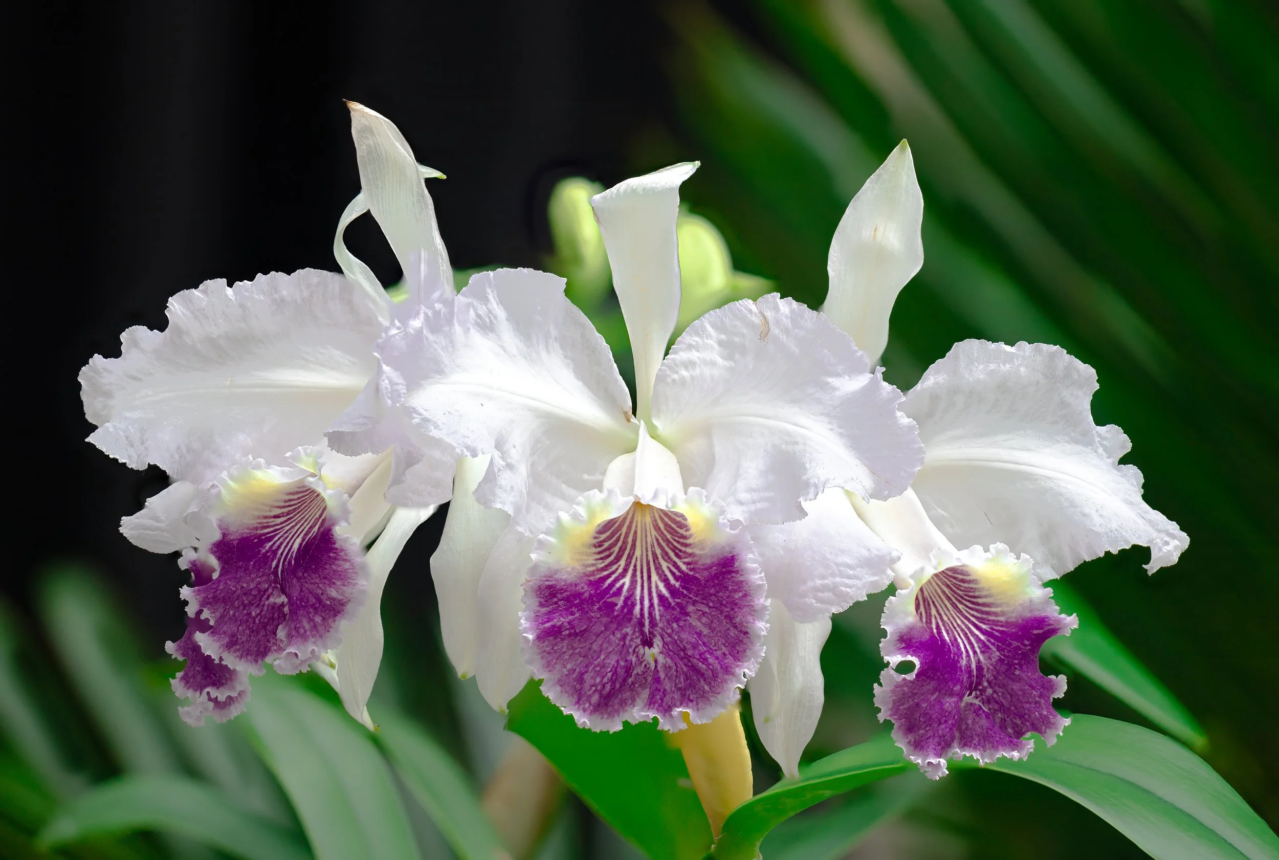 2024-01-28 10-56-49 (B,R27,S6)-2-2.jpg