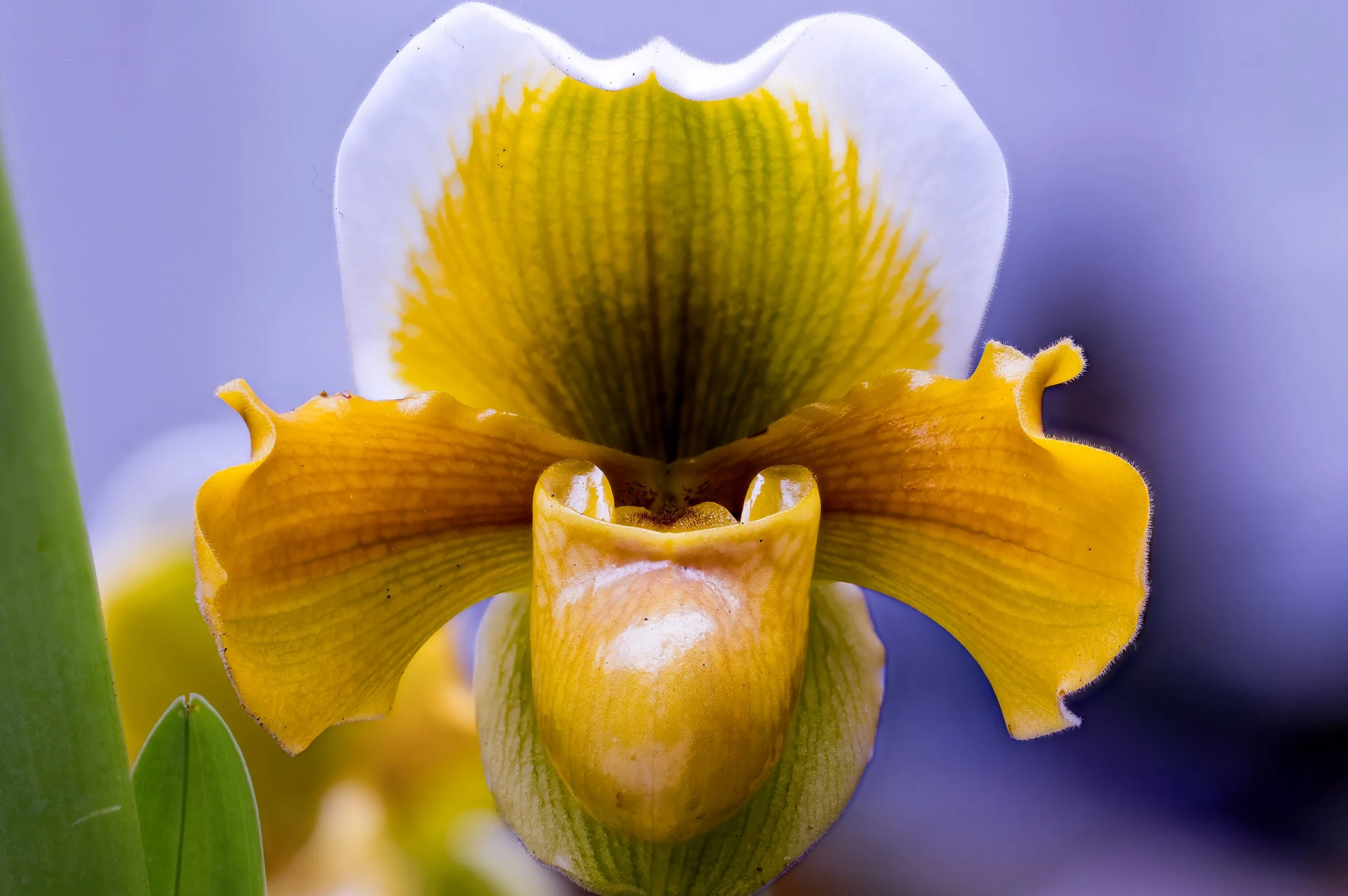 2024-01-28 10-53-18 (C,S6)-2.jpg