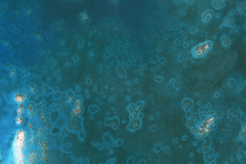 New AI reef conservation tool monitors, measures from space