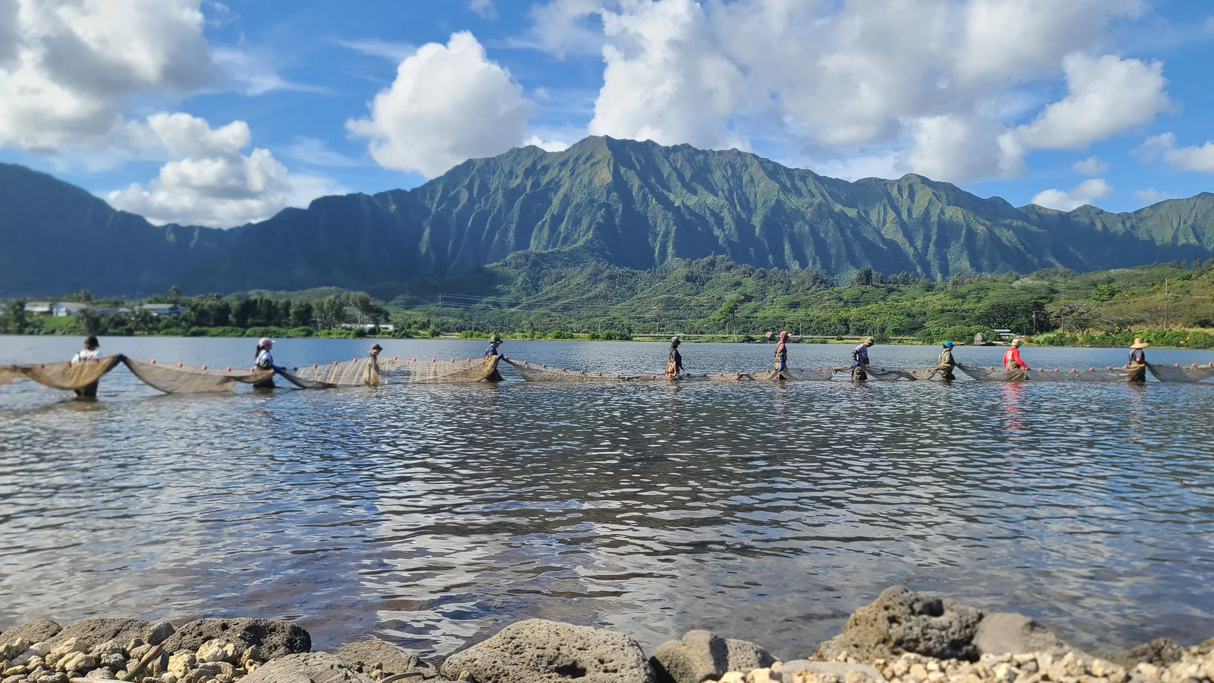 New Research by Annie Innes-Gold on loko iʻa restoration and climate change