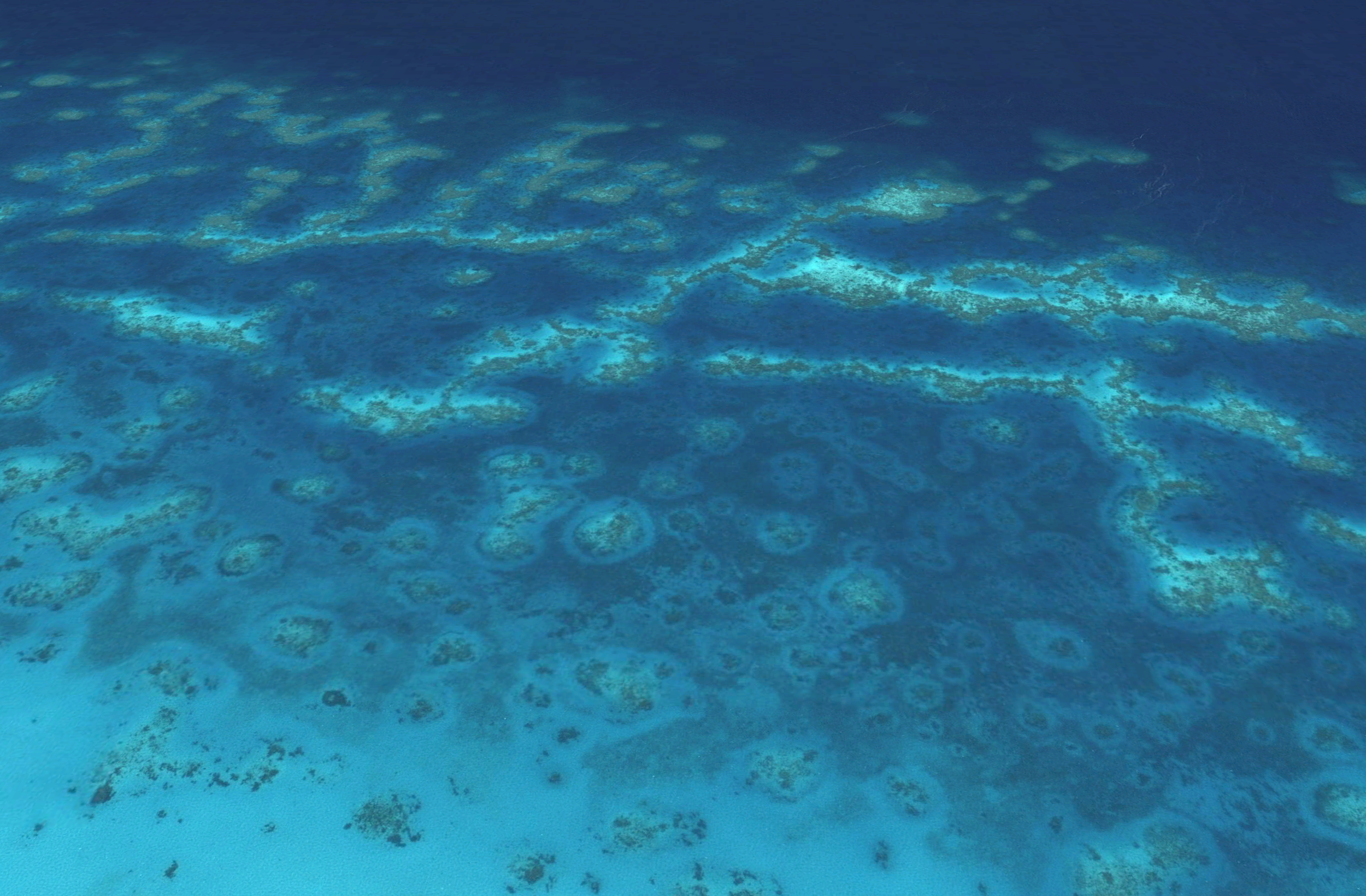 2-year postdoc available in AI and geospatial approaches to observing reef healtH