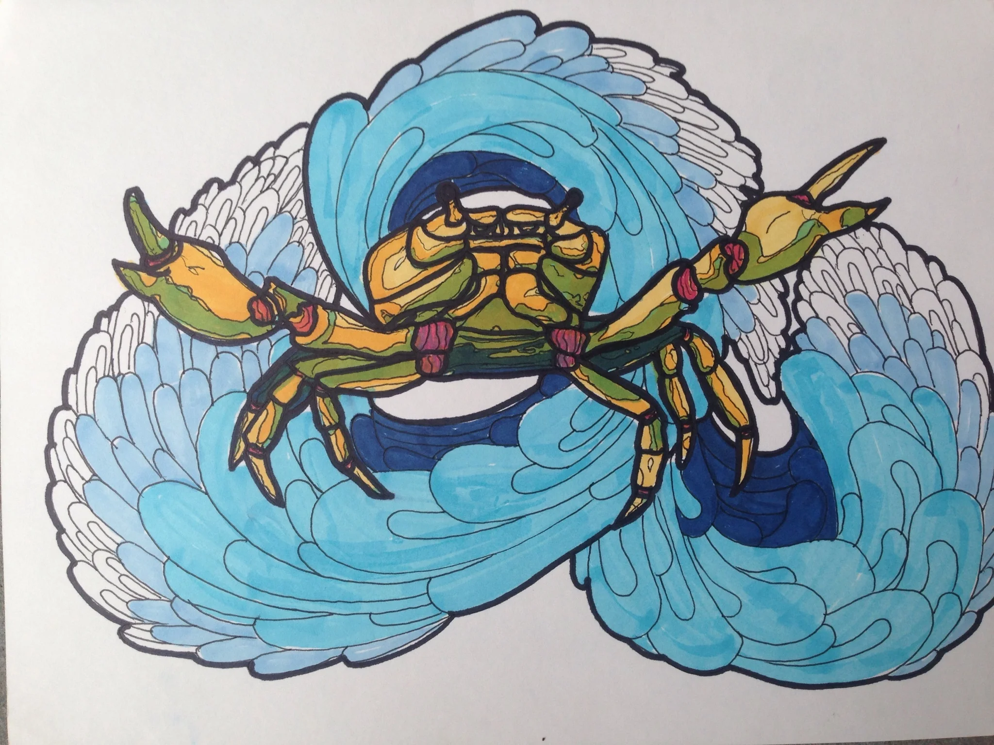 IMG_typhoon crab.jpg