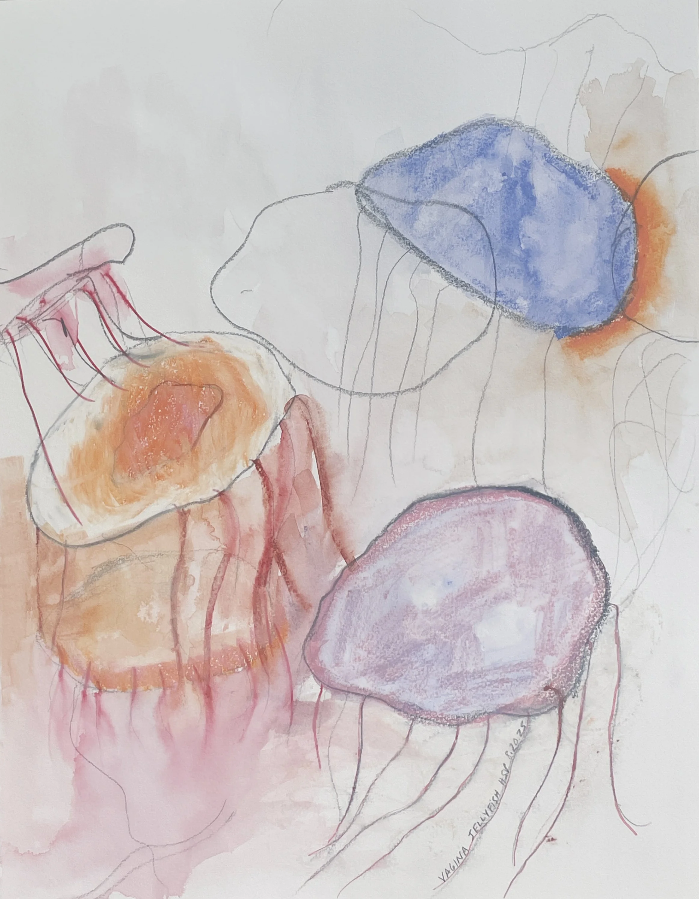 jellyfish.jpg