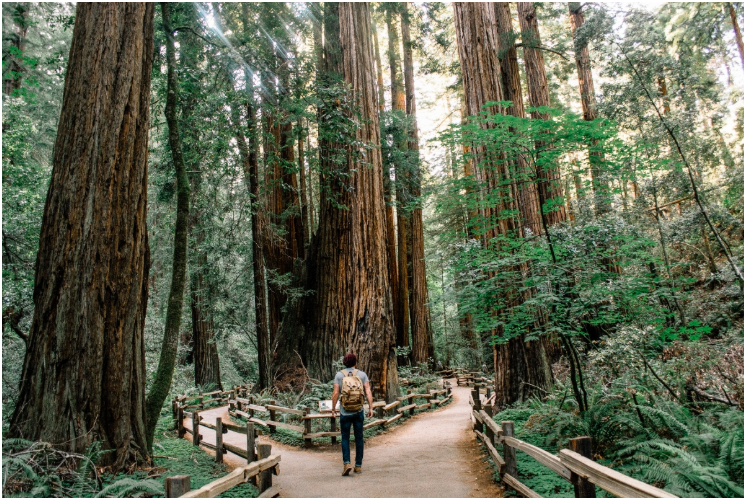 I am going to share one sabotaging habit that I see again and again in my practice, and one that I relied on for years. I want to share my experience and my clients’ because when you’re able to catch and change this particular habit, the shifts you can create in your life (and your health!) are incredibly powerful. Read here to learn more.