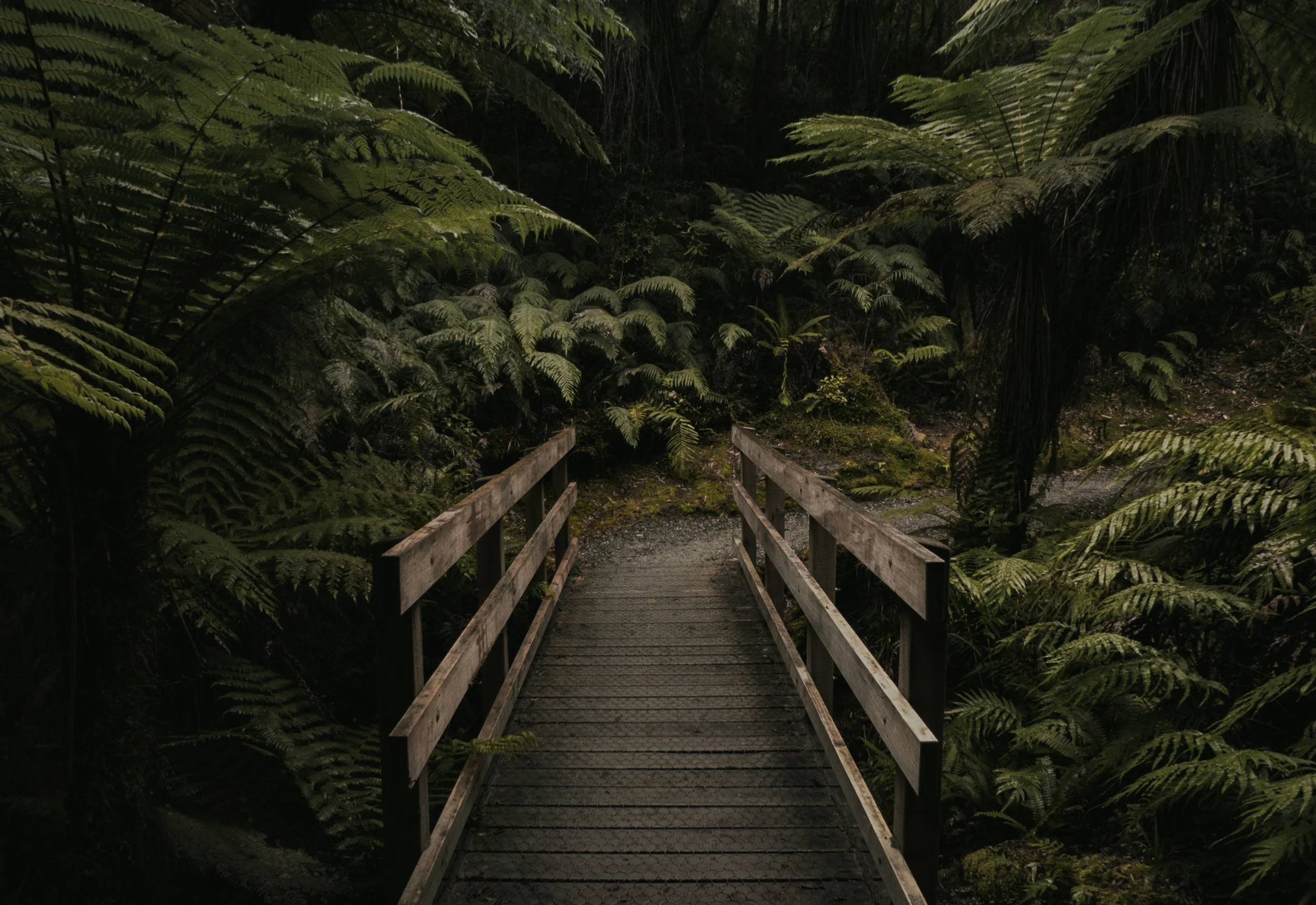 tyler-lastovich-607513-unsplash.jpg