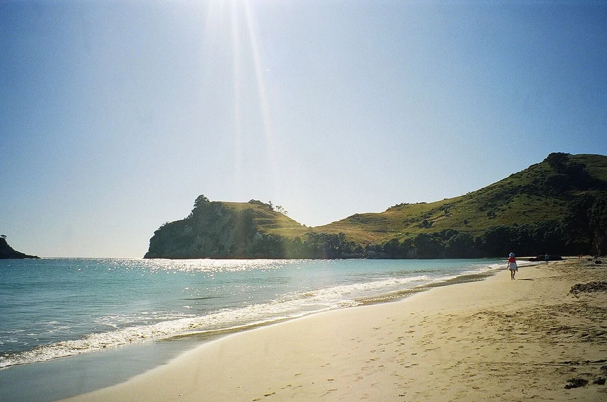 Hahei beach