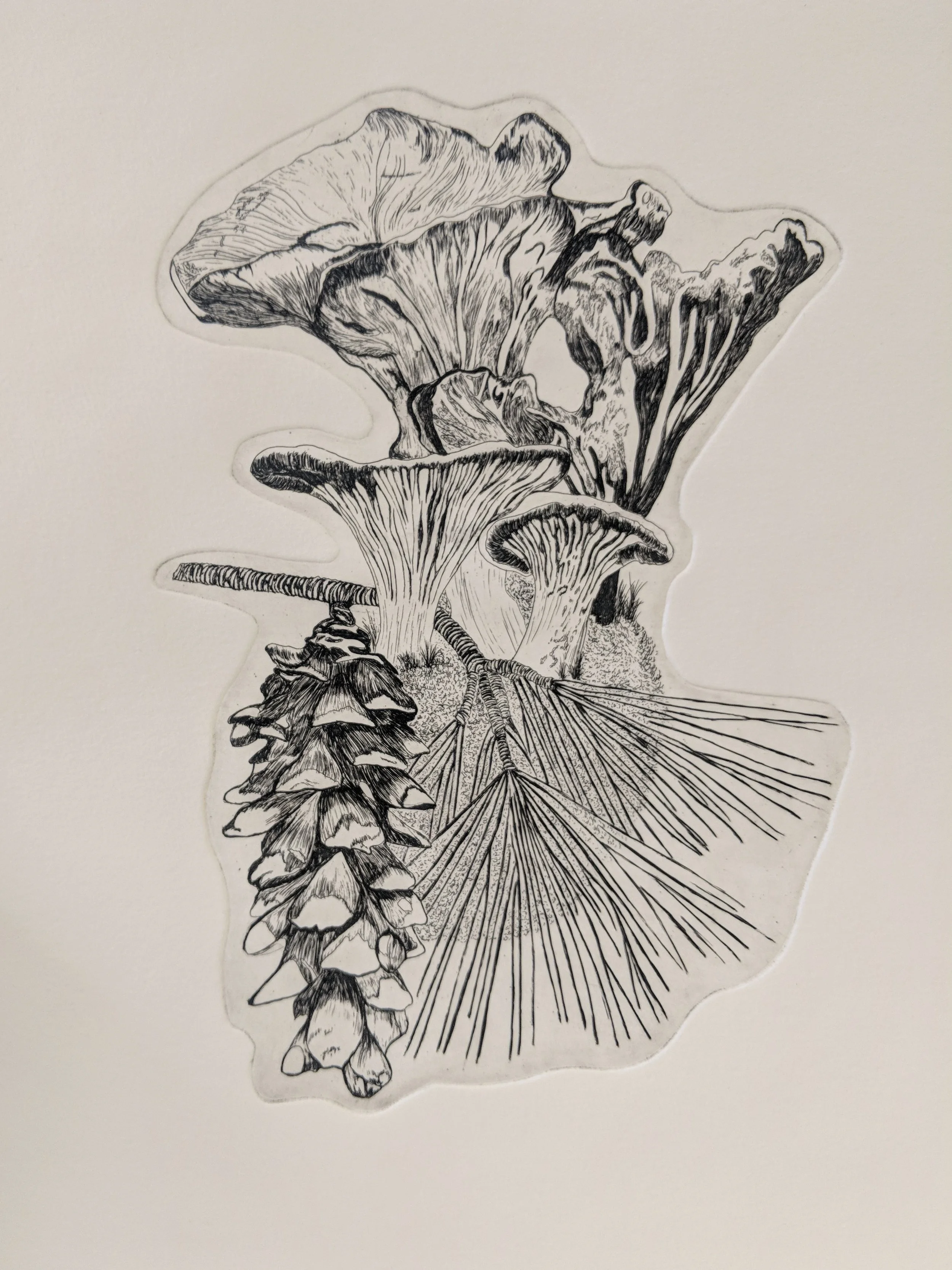 Symbiotic Pt. 2