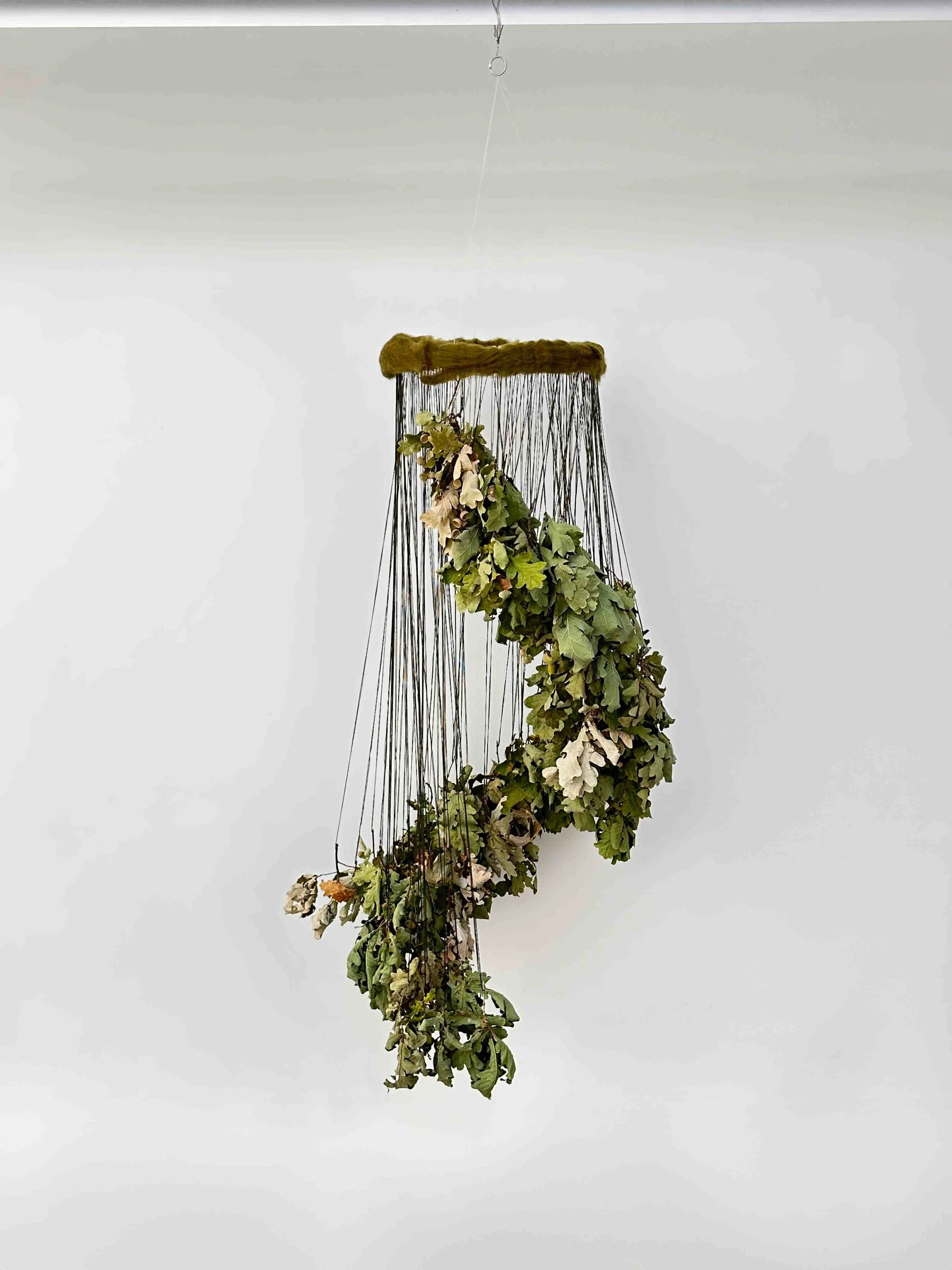 "Untitled", 102 Oak tree branches, Embroidery thread, Metal, Roving, Clothespins, Fishing line