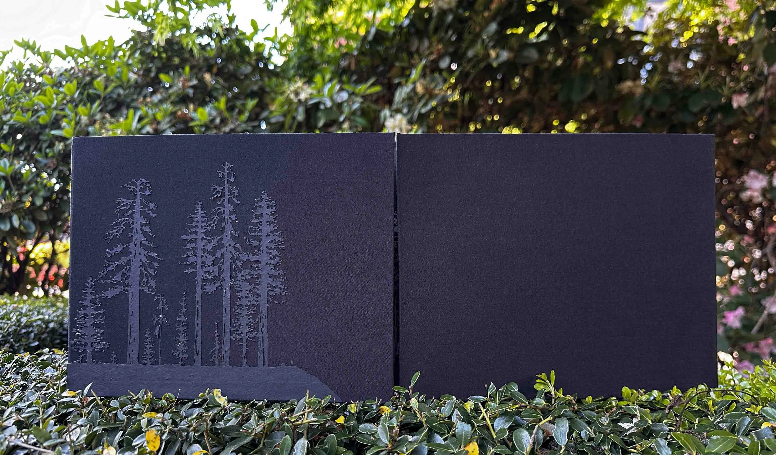 "Step Lightly"- Detail