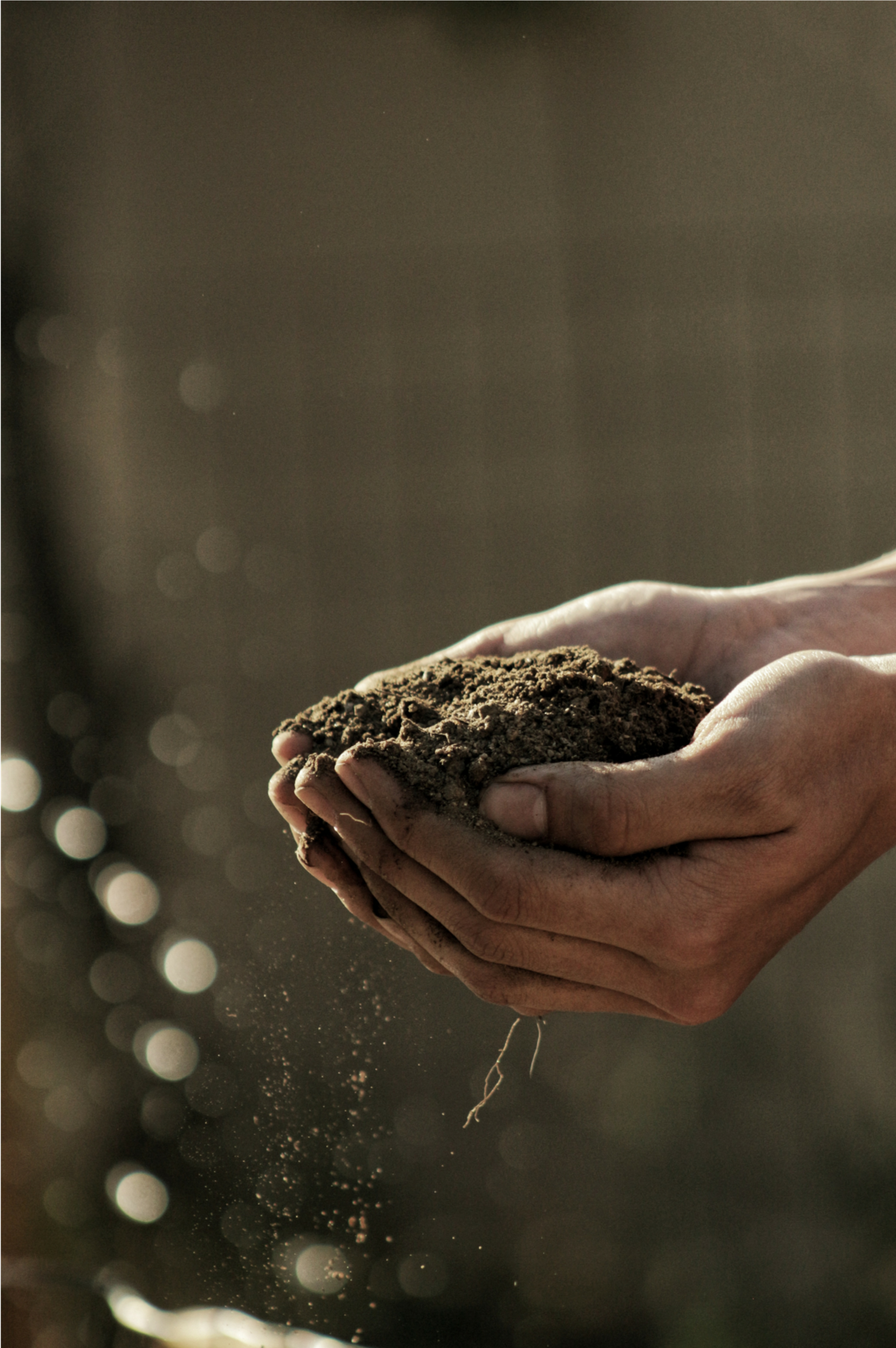 Dirt.png