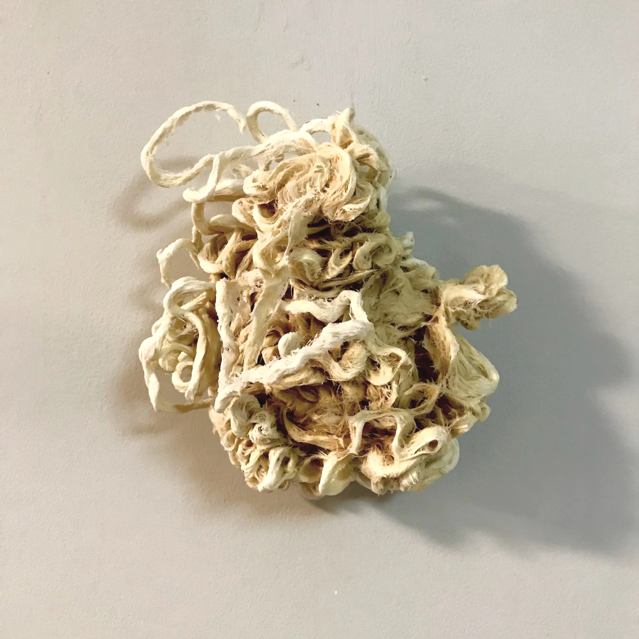 Cabinet of Curiosities: Defect