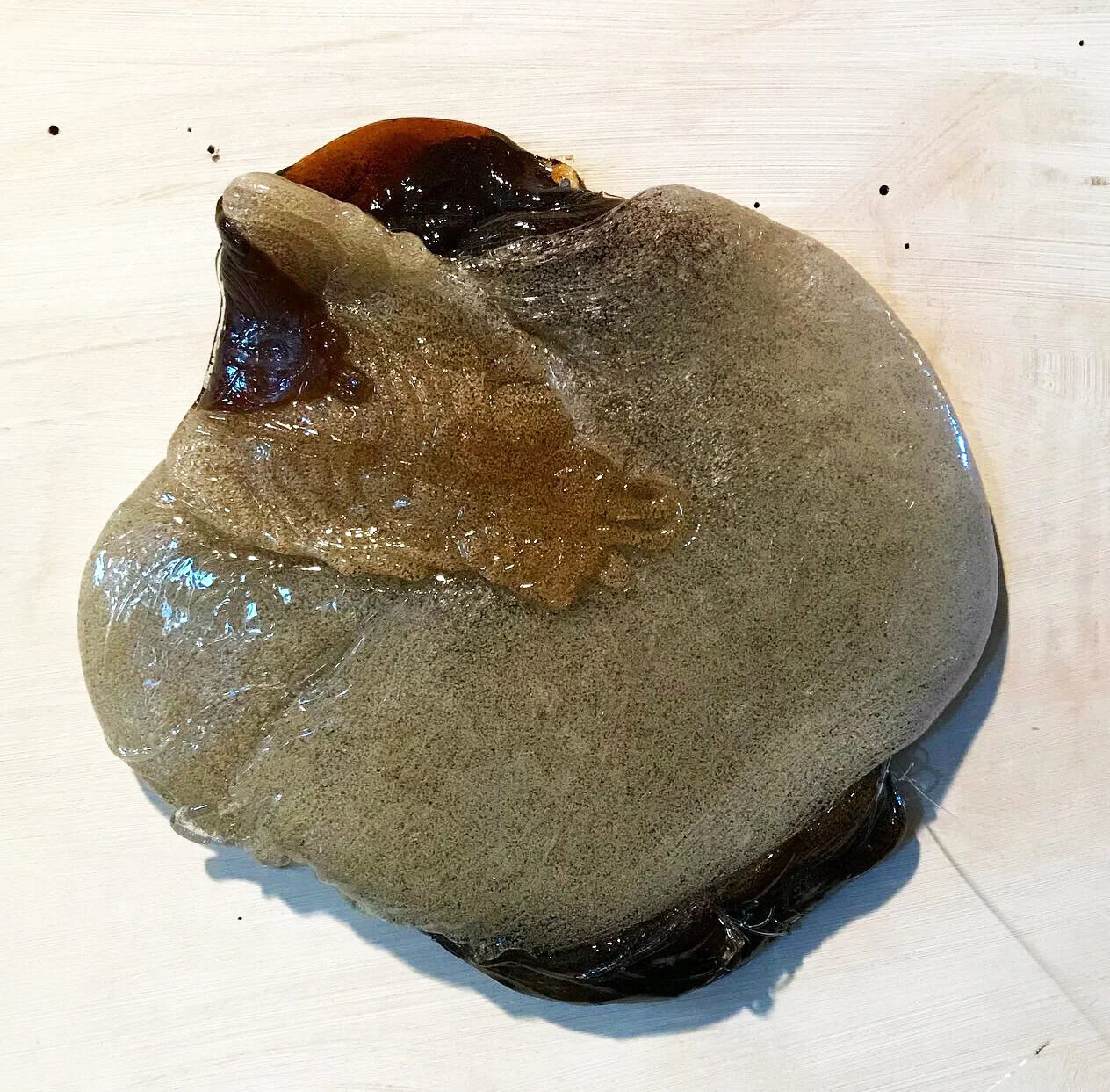 Cabinet of Curiosities: Defect