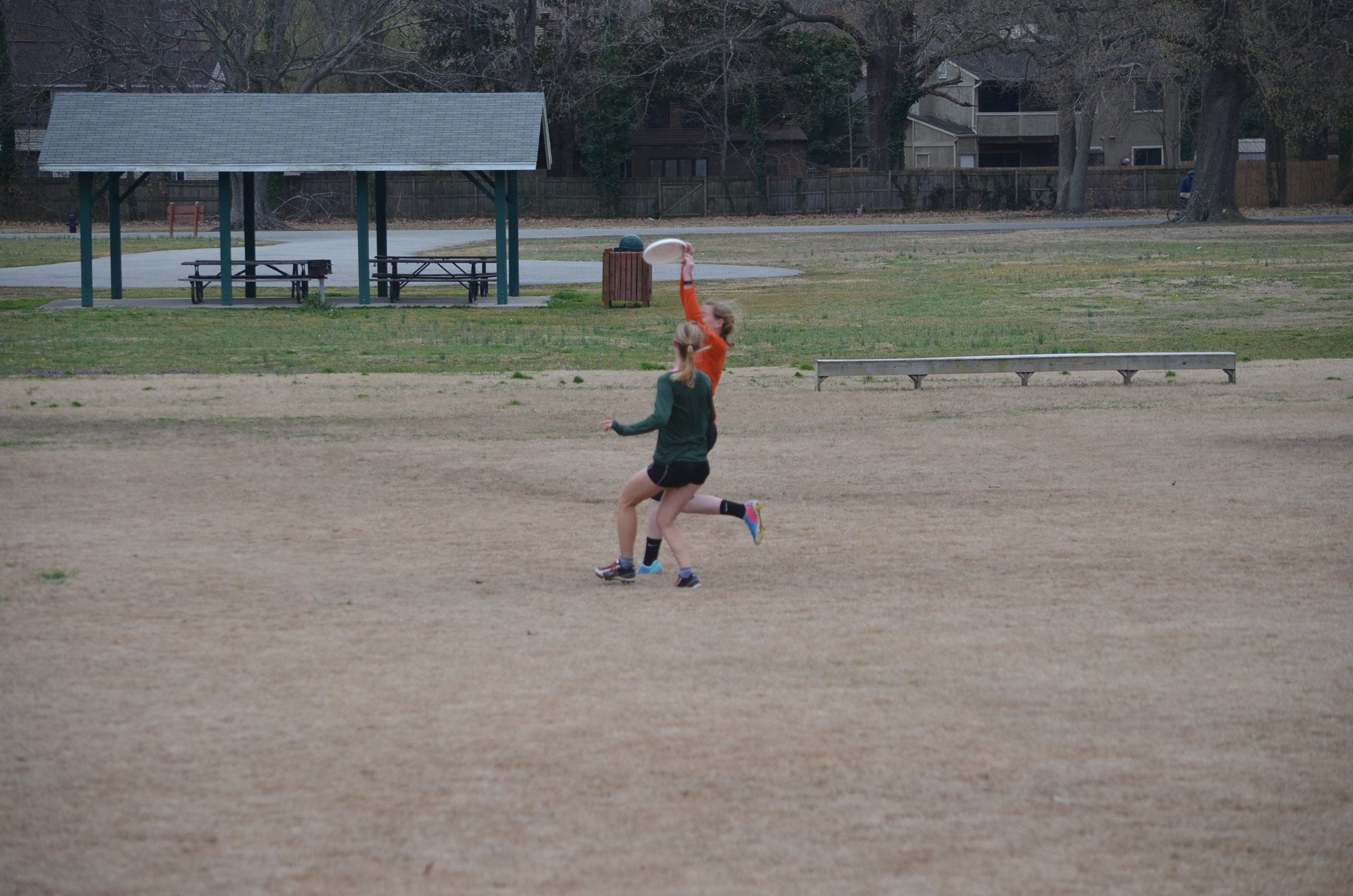 tidewater-ultimate-winter-league-2016_25220140933_o.jpg