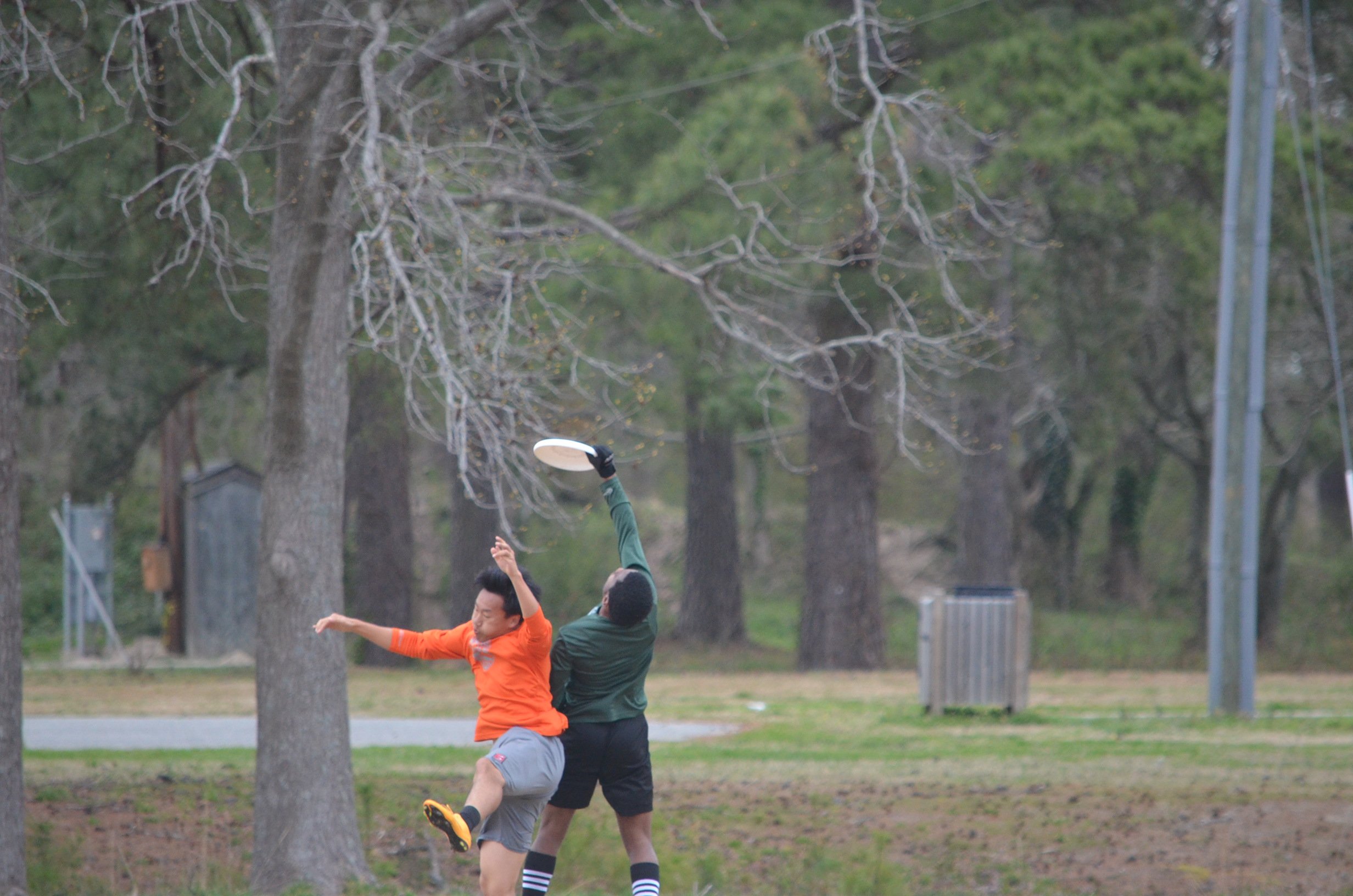 tidewater-ultimate-winter-league-2016_25220228923_o.jpg