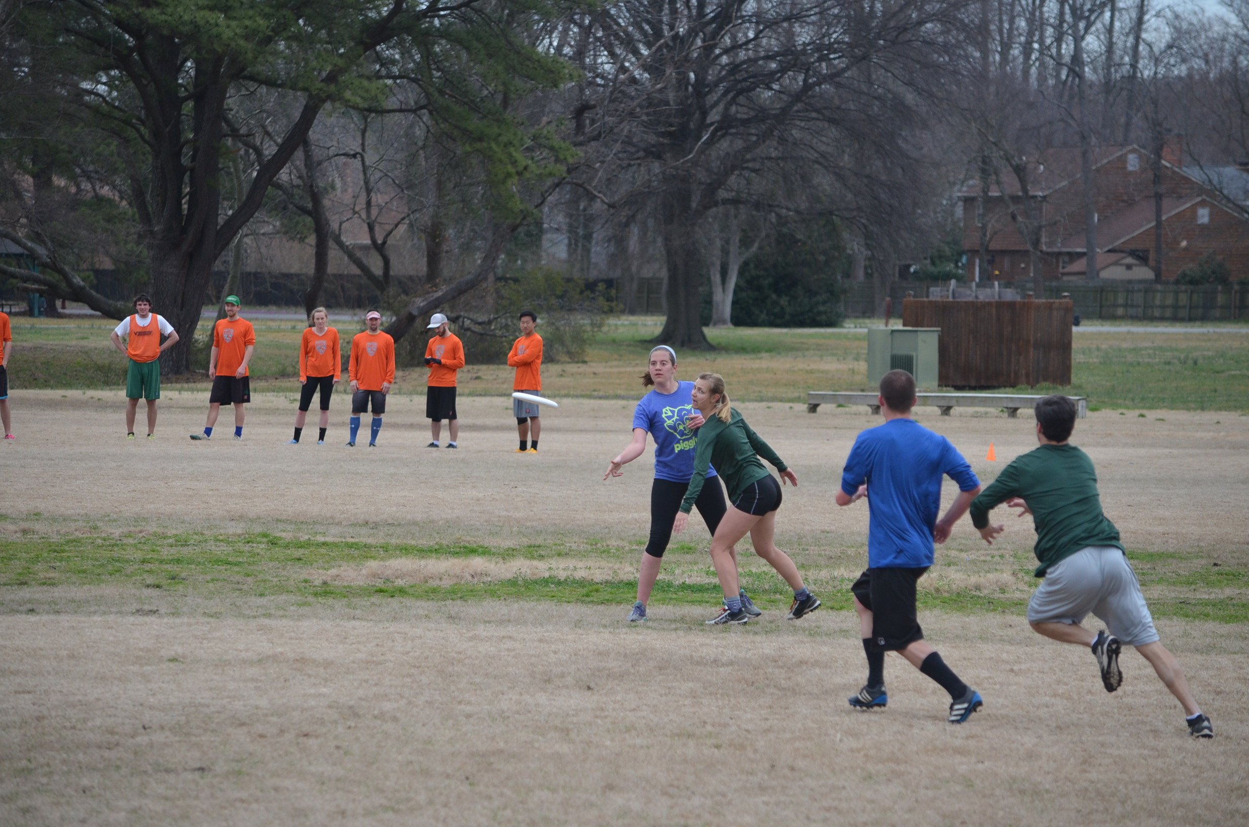 tidewater-ultimate-winter-league-2016_25751291541_o.jpg