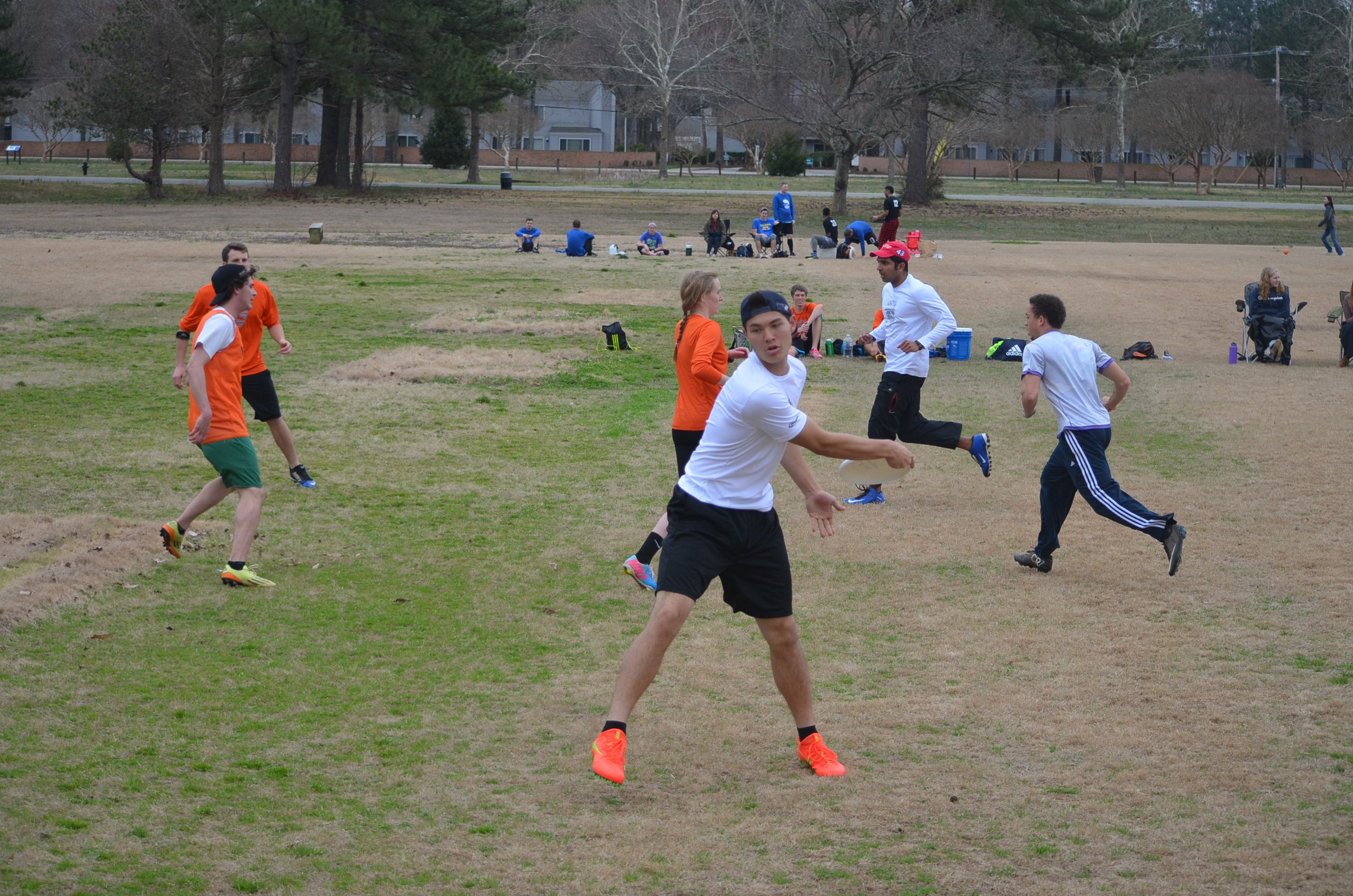 tidewater-ultimate-winter-league-2016_25820262856_o.jpg