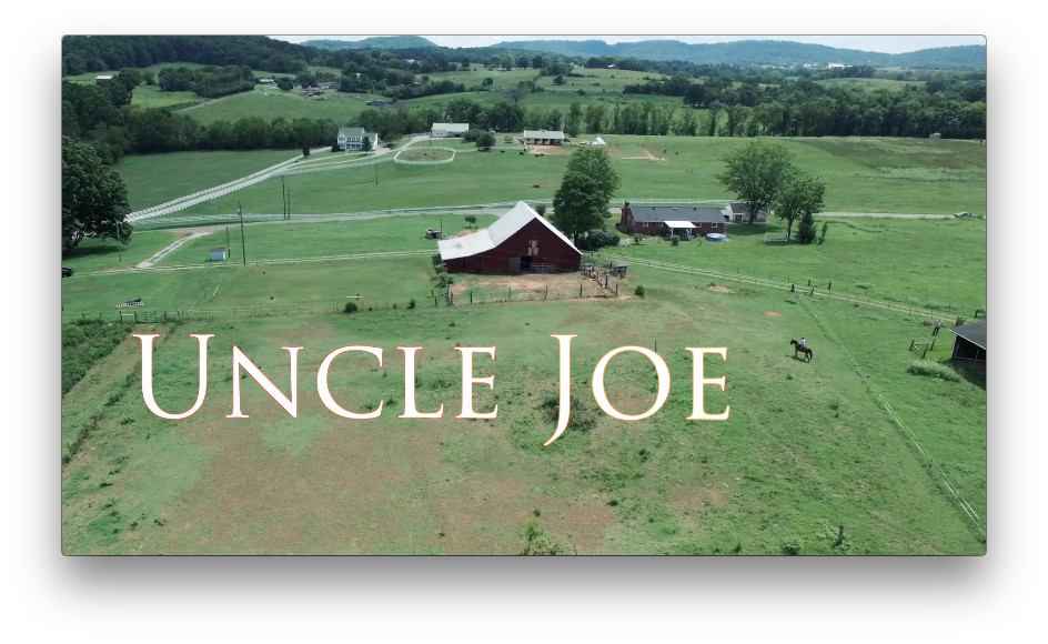 Uncle Joe