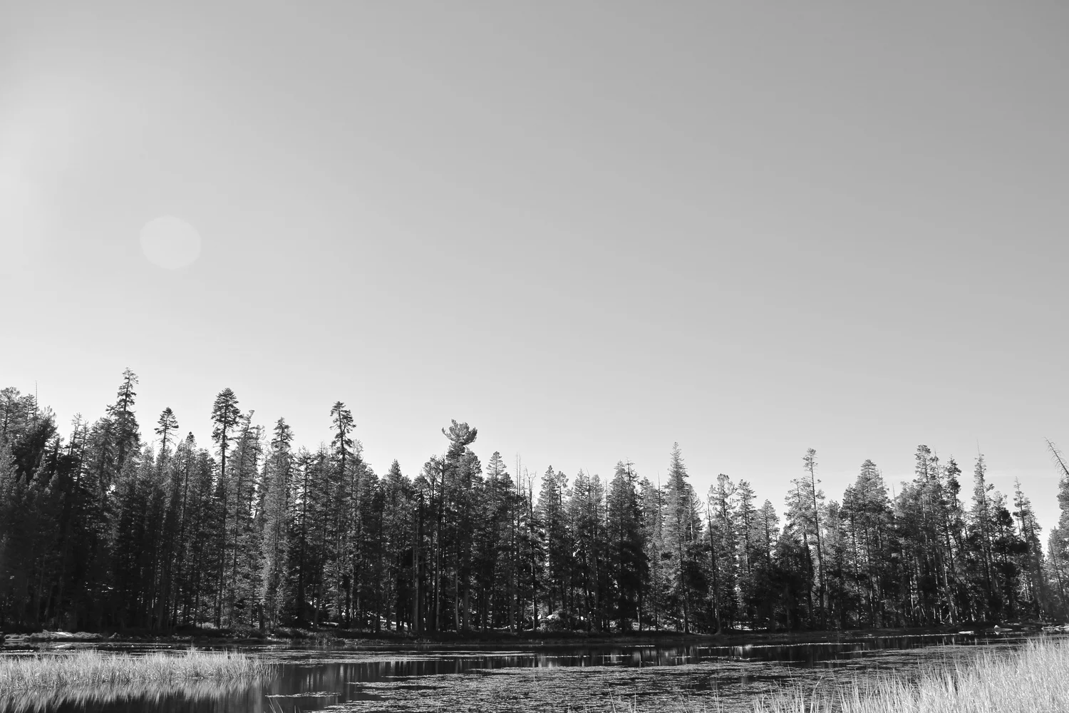 static1.squarespace-5.jpg