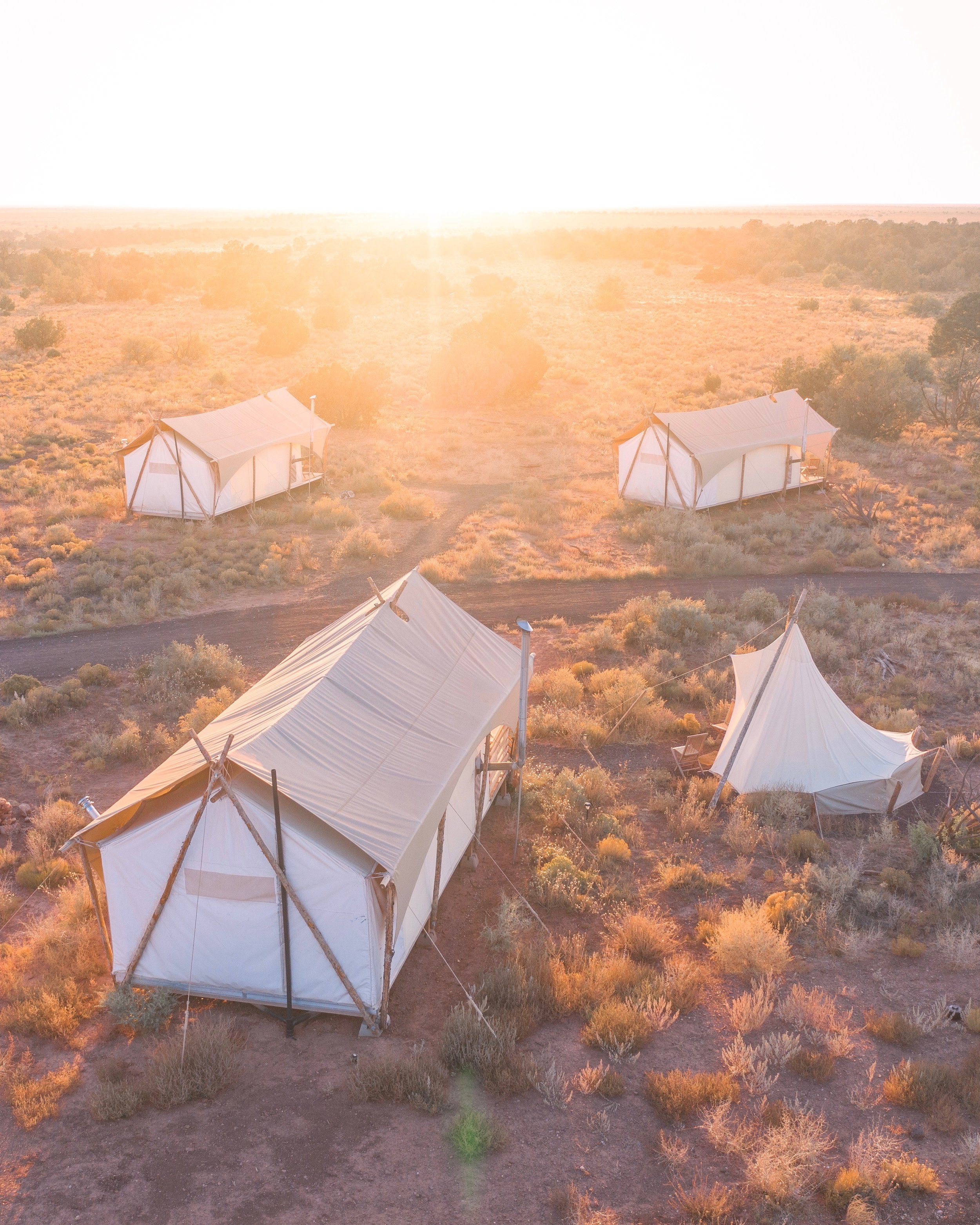 Under Canvas x Mint Collective — Mint Collective