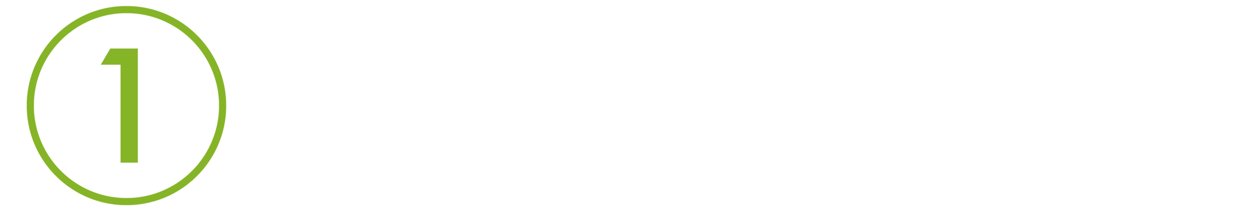 icon-one_long.png