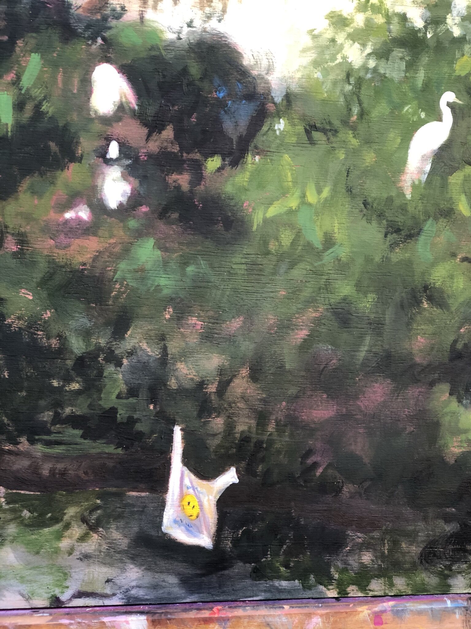 Egrets on Alabama Dr. (Detail)