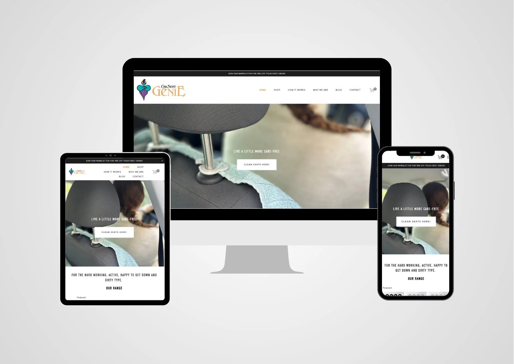 Car Seat Genie - Website