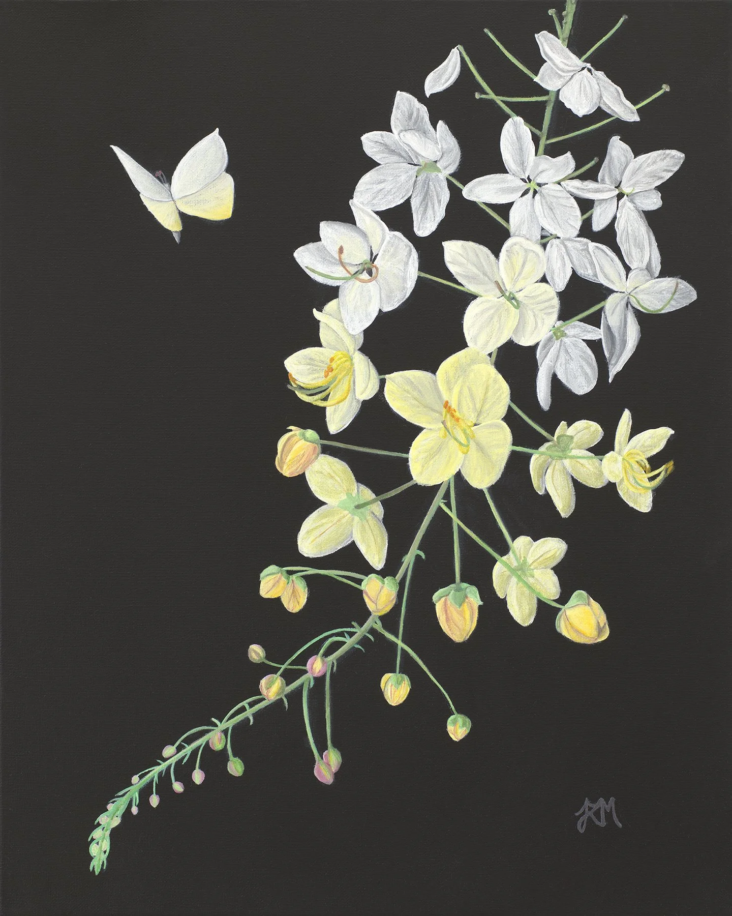 Coral Shower Butterfly_20x16_Clean_EMAIL.jpg