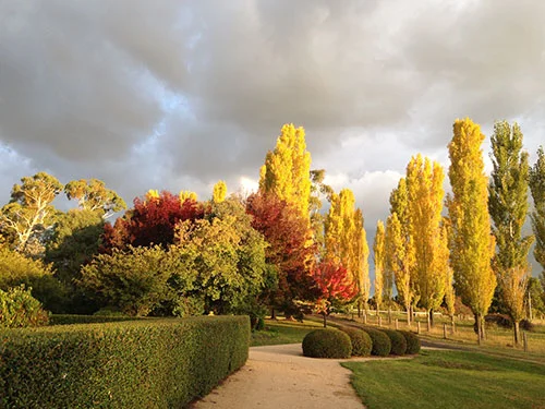 Glen Innes B&B Accommodation