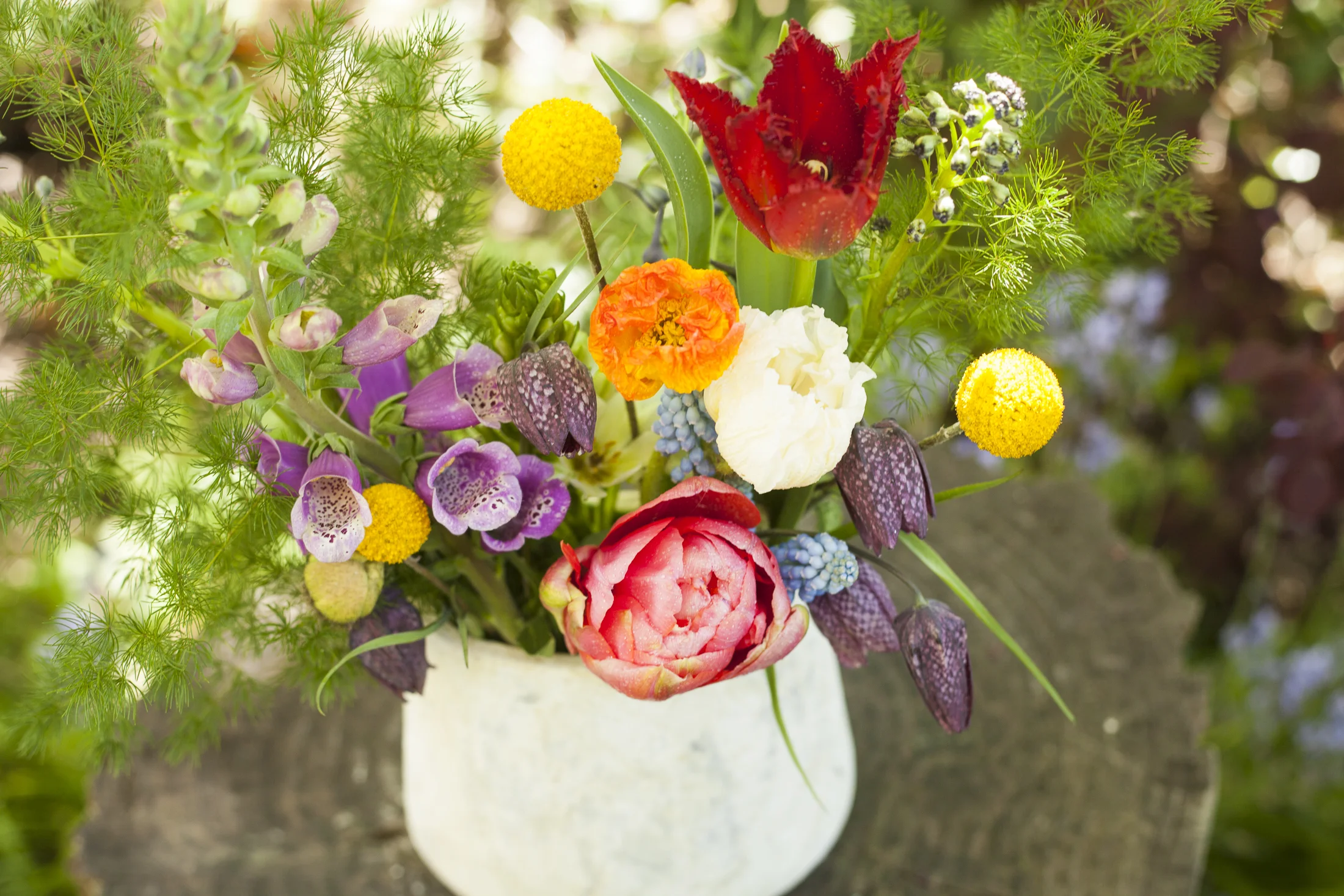 20150418-_MG_5665.jpg