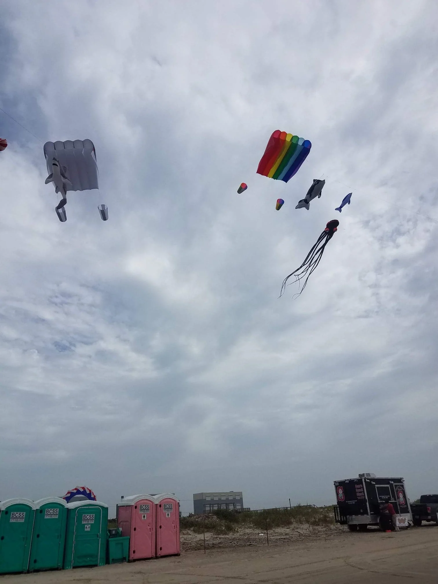 6Kites.jpg