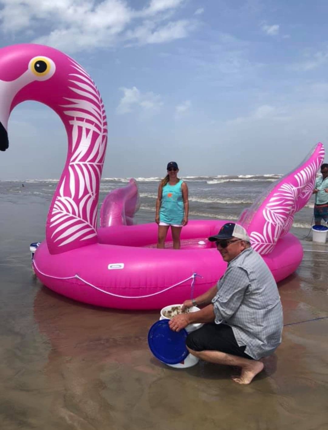 FlamingoBlownUp.jpg