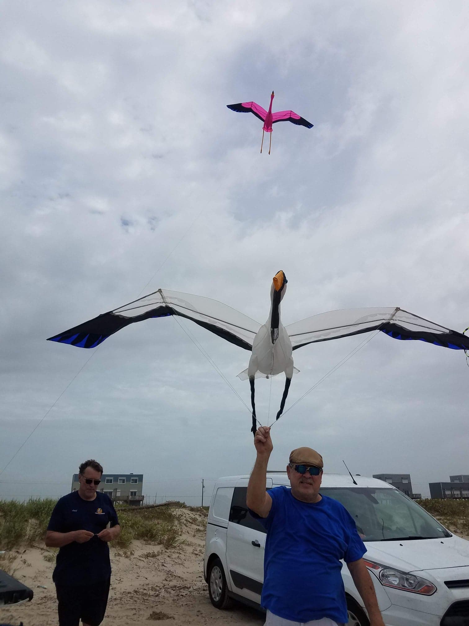 Kites5.jpg