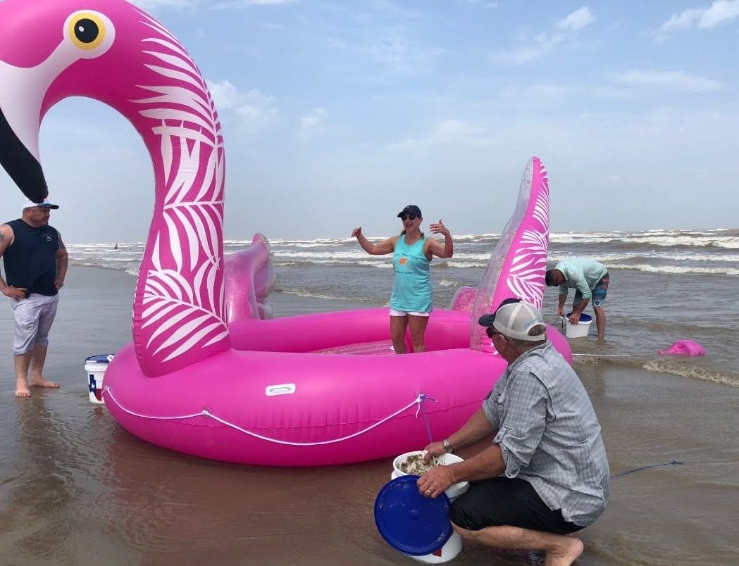 PinkFlamingo.jpg