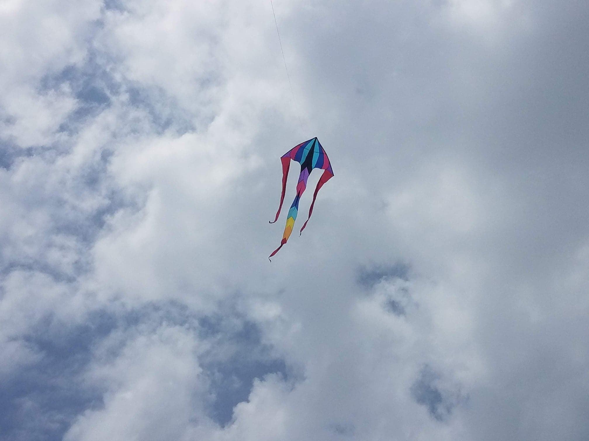 SingleKite.jpg