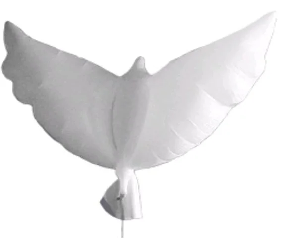 Dove.jpg