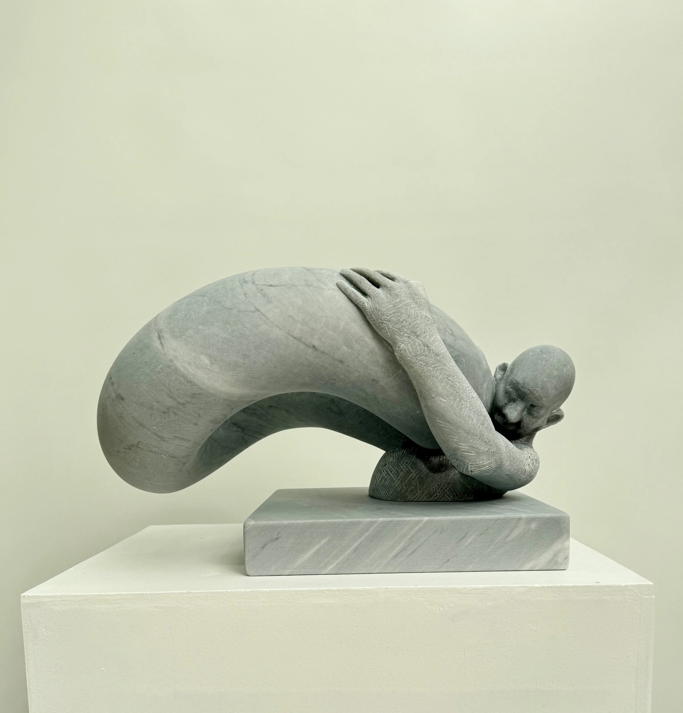 Tourus Buoyancy   🔴