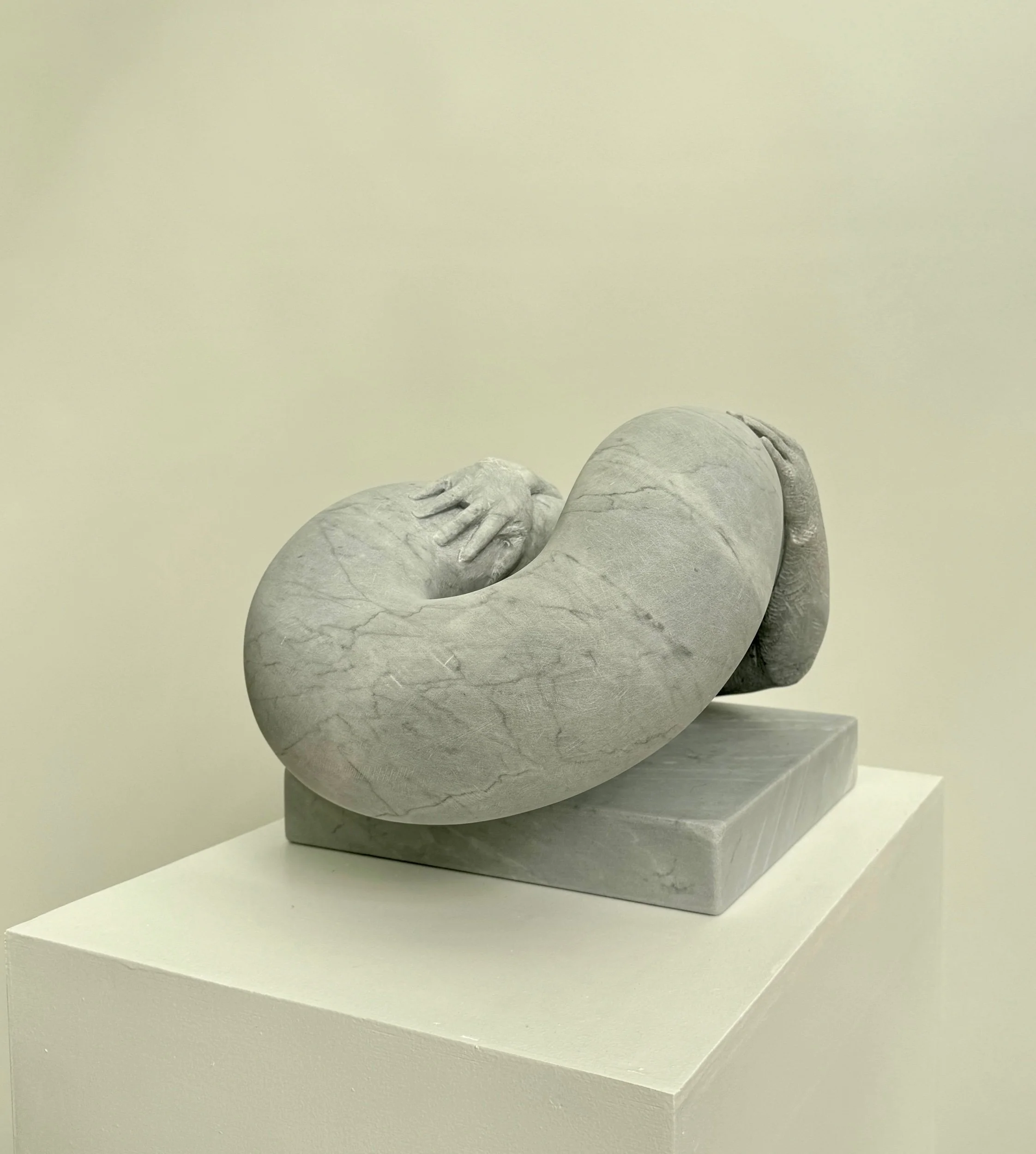 Tourus Buoyancy  🔴