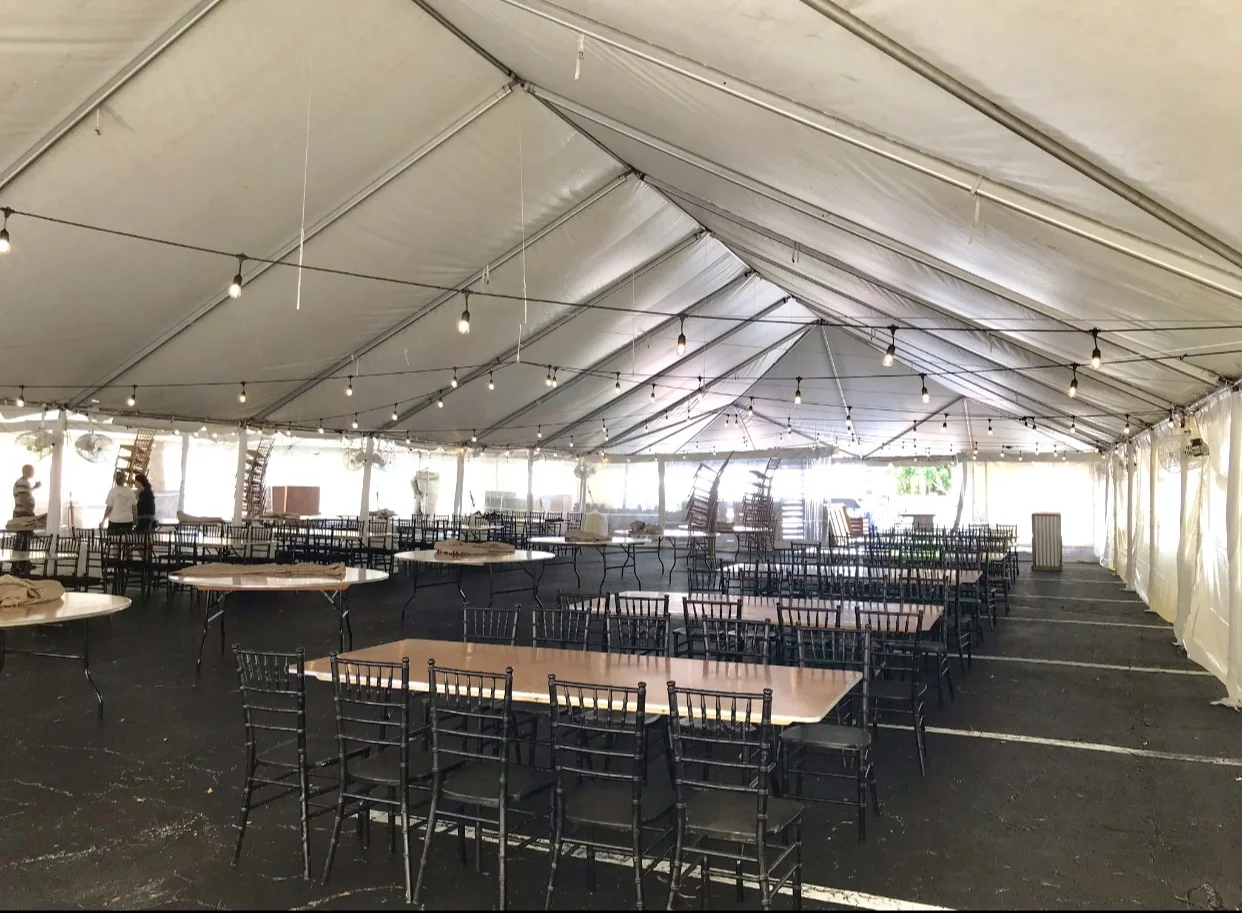 swag bistro lights .jpeg