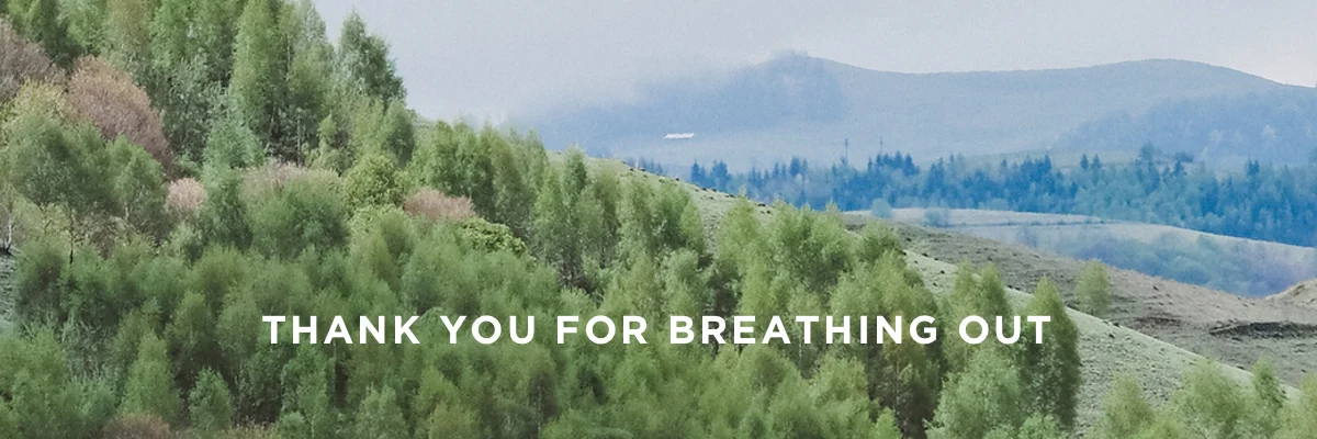 A message from nature