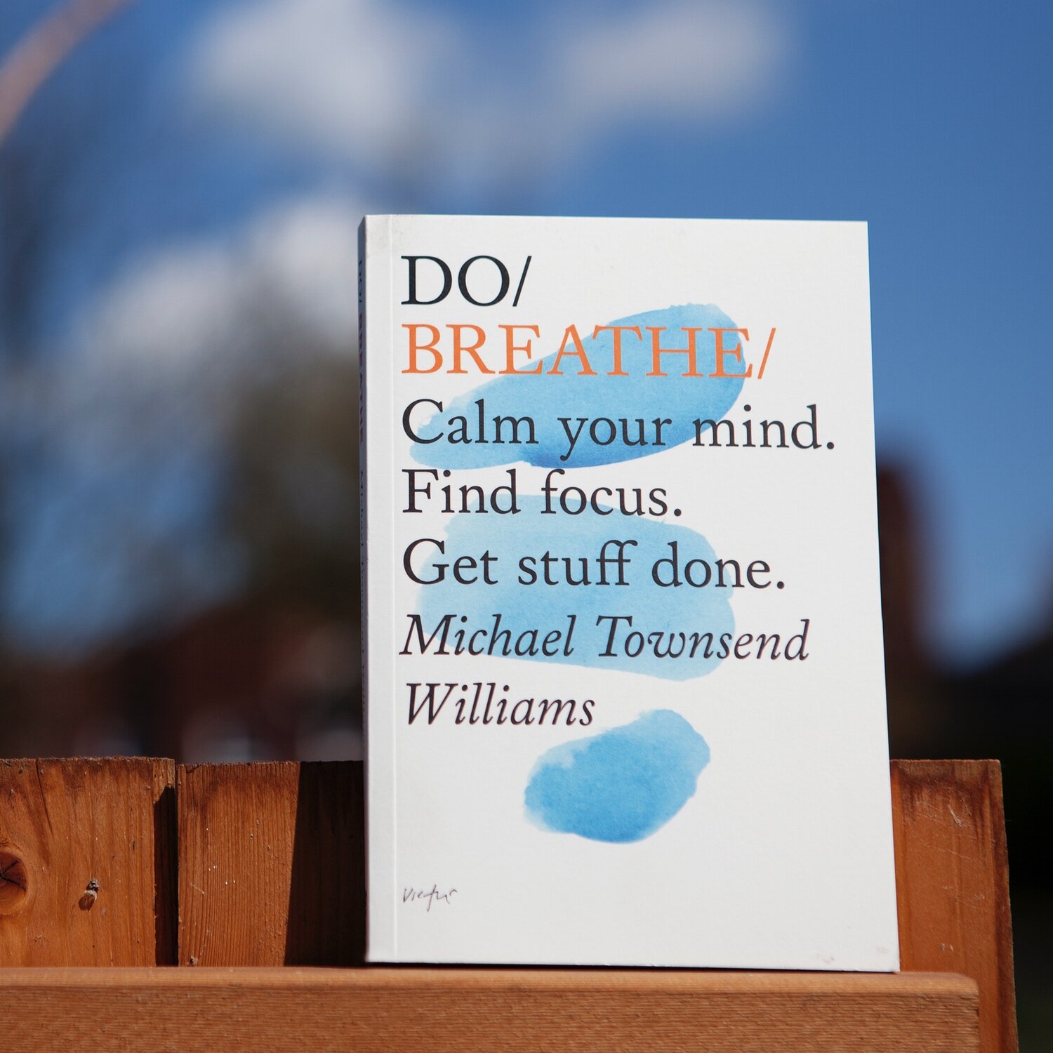 Do Breathe: Calm Your Mind. Find Focus. Get Stuff Done. (Mindfulness Books,  Breathing Exercises, Calming Books) - BookPal