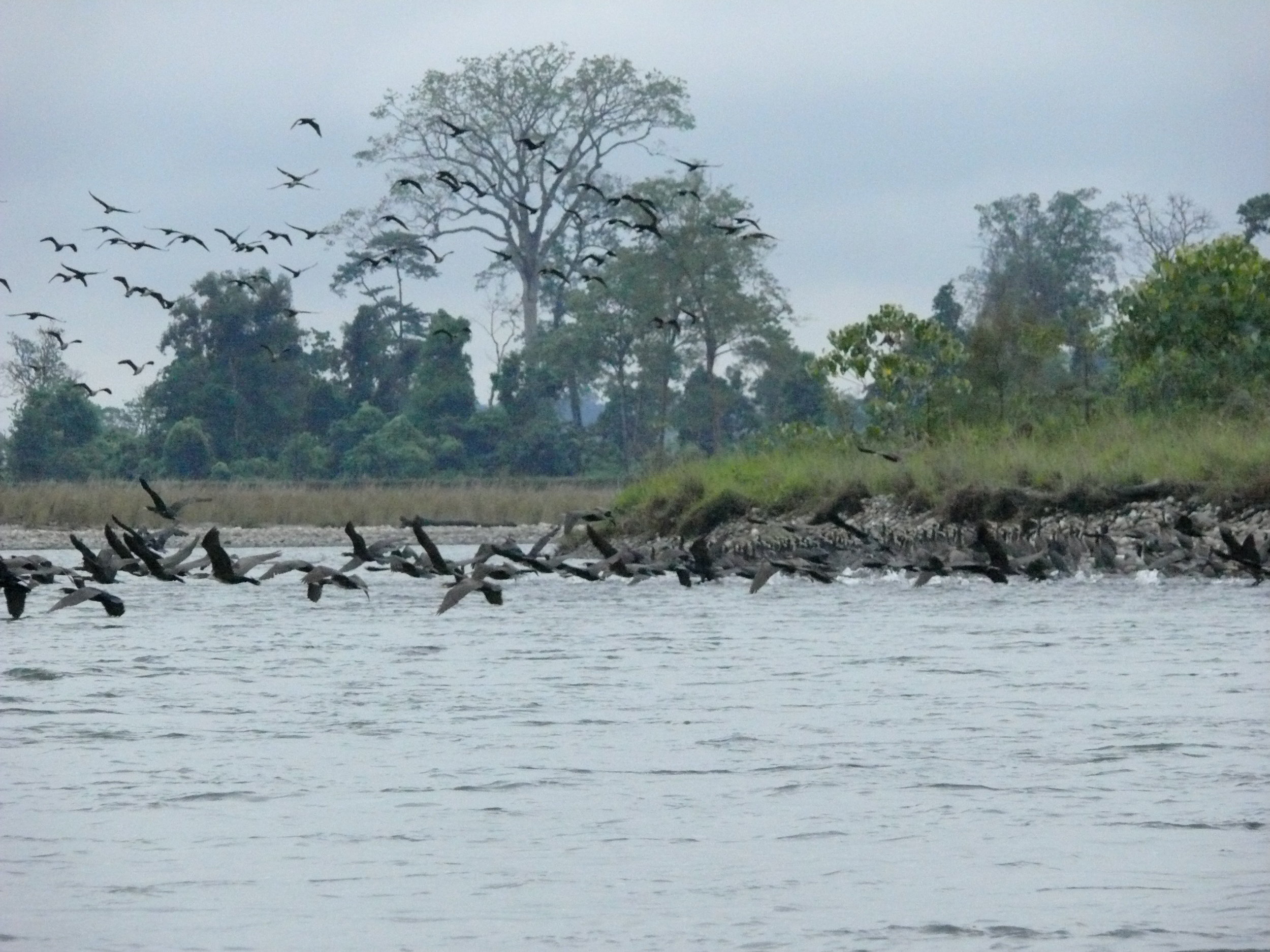 anotherBrahmaputra.JPG