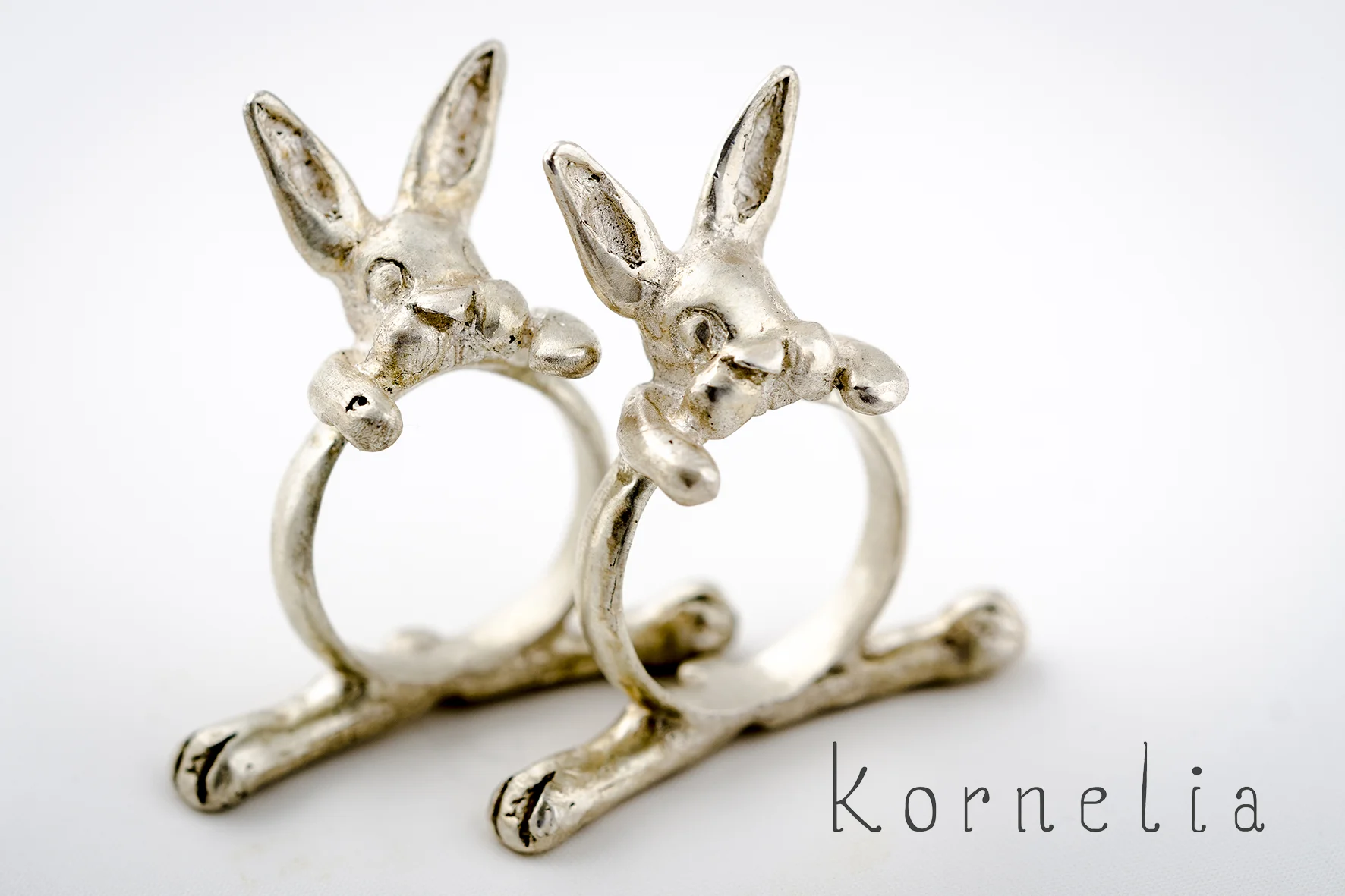 kornelia konijnenringen.jpg