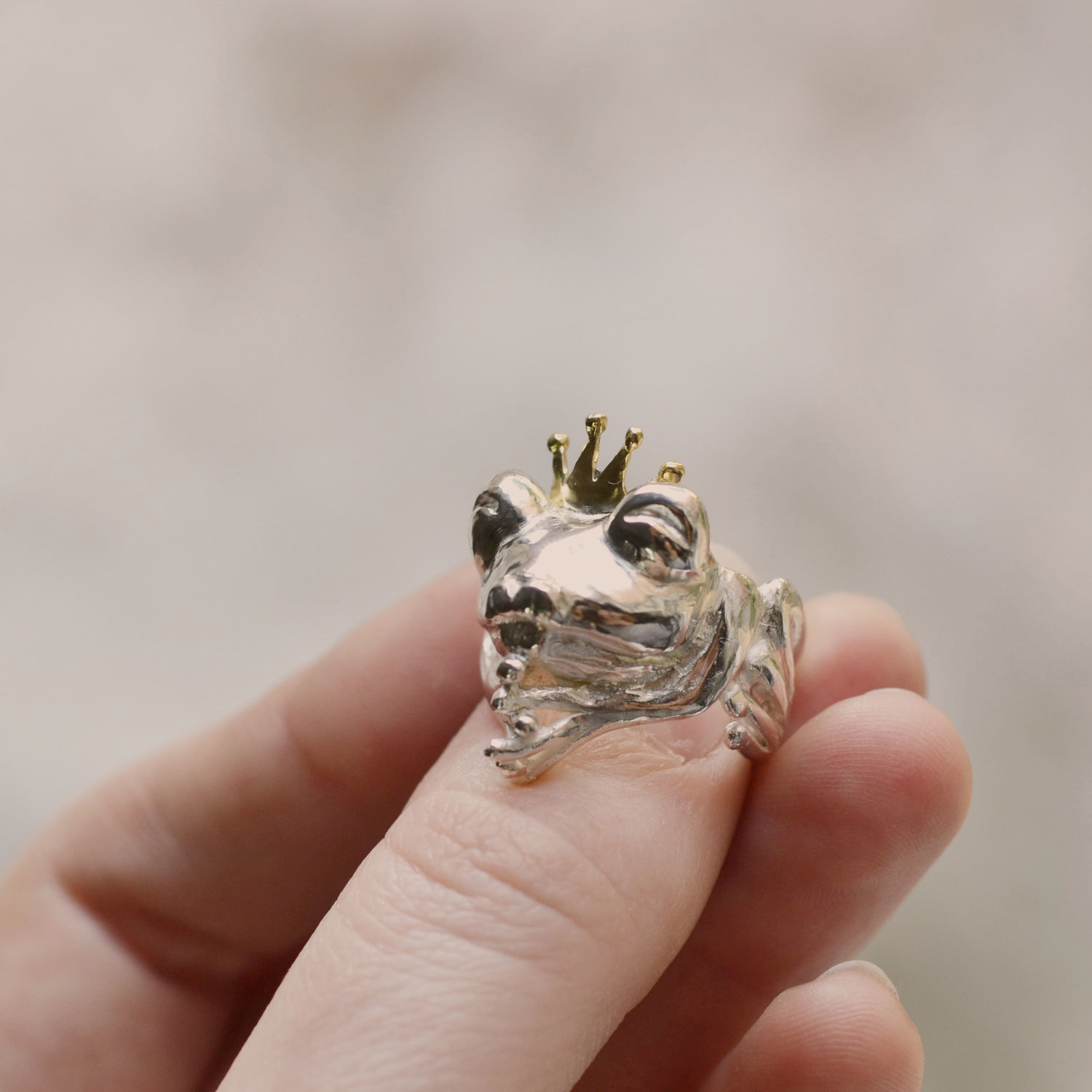 Supplement Bijwerken Verfijnen Frog Prince - Ring - Silver with Golden Crown — kornelia