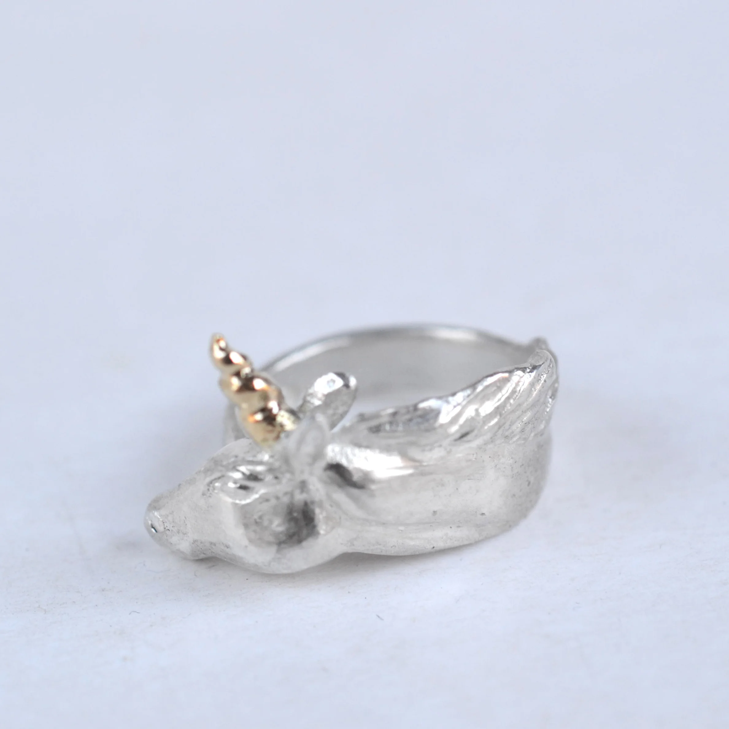 eenhoorn ring 3.jpg