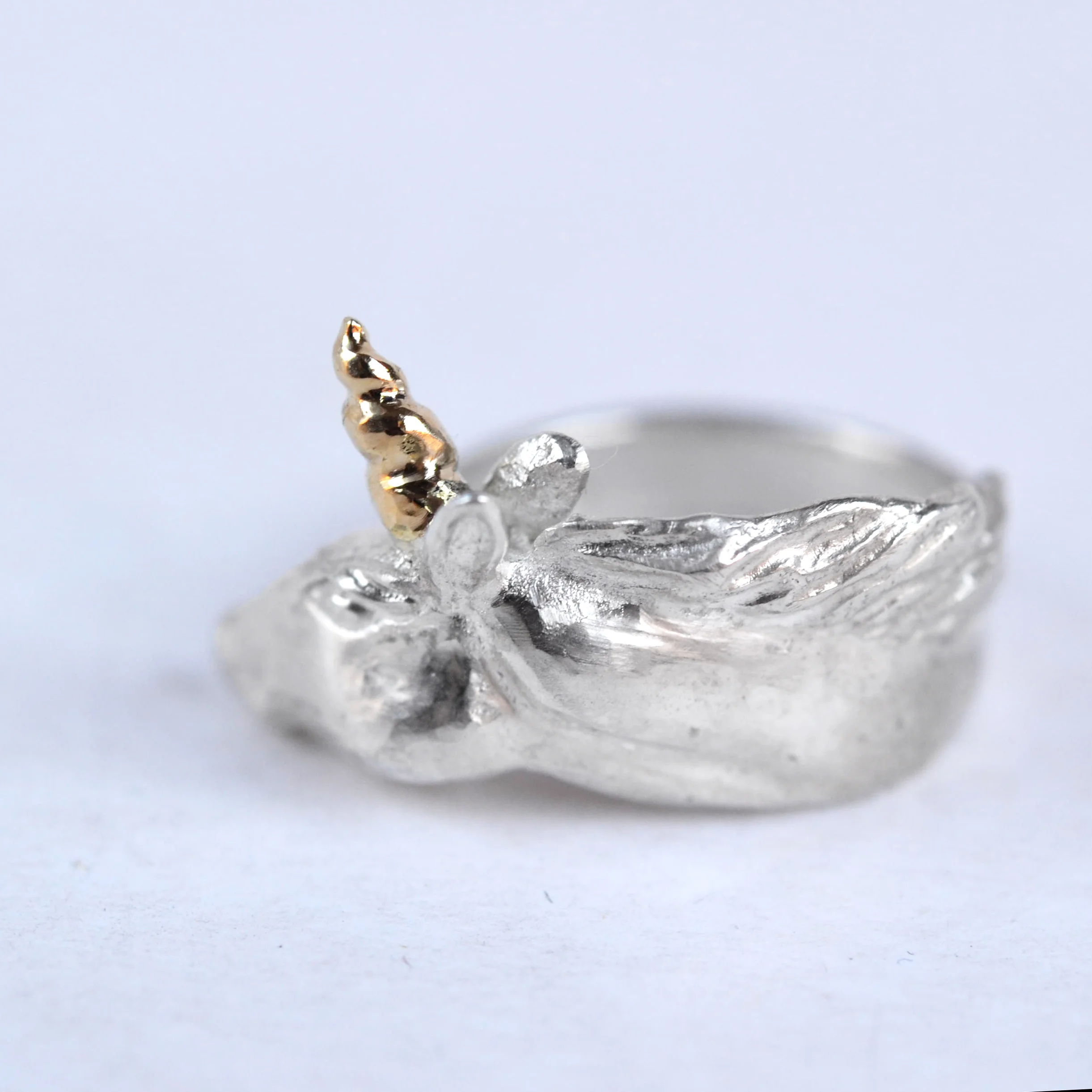 eenhoorn ring 5.jpg