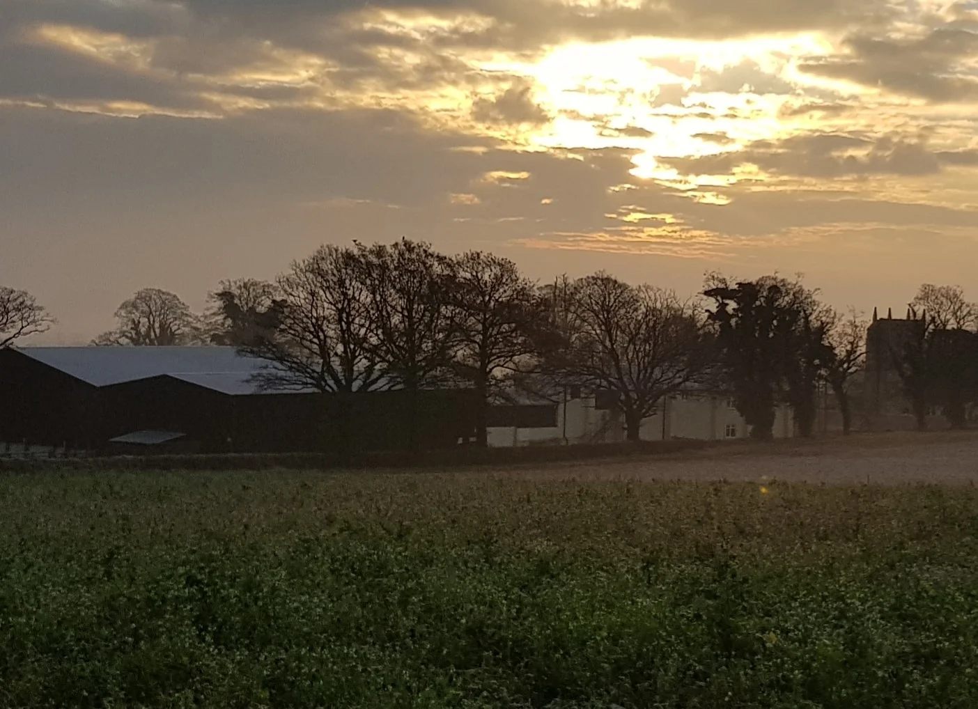 brewery from distance sunset v2.jpg